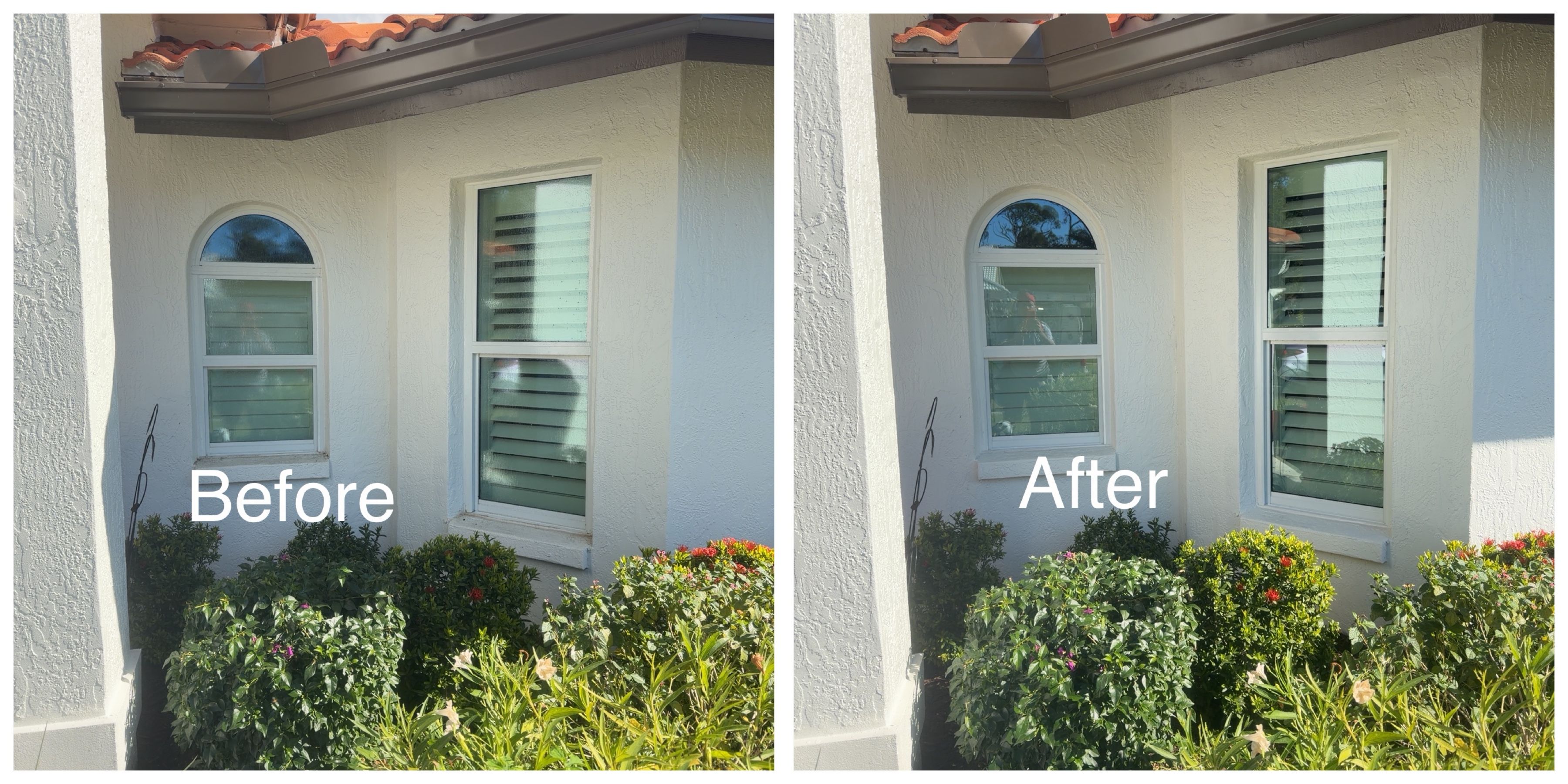  for My Soft Wash Guys in Venice, FL