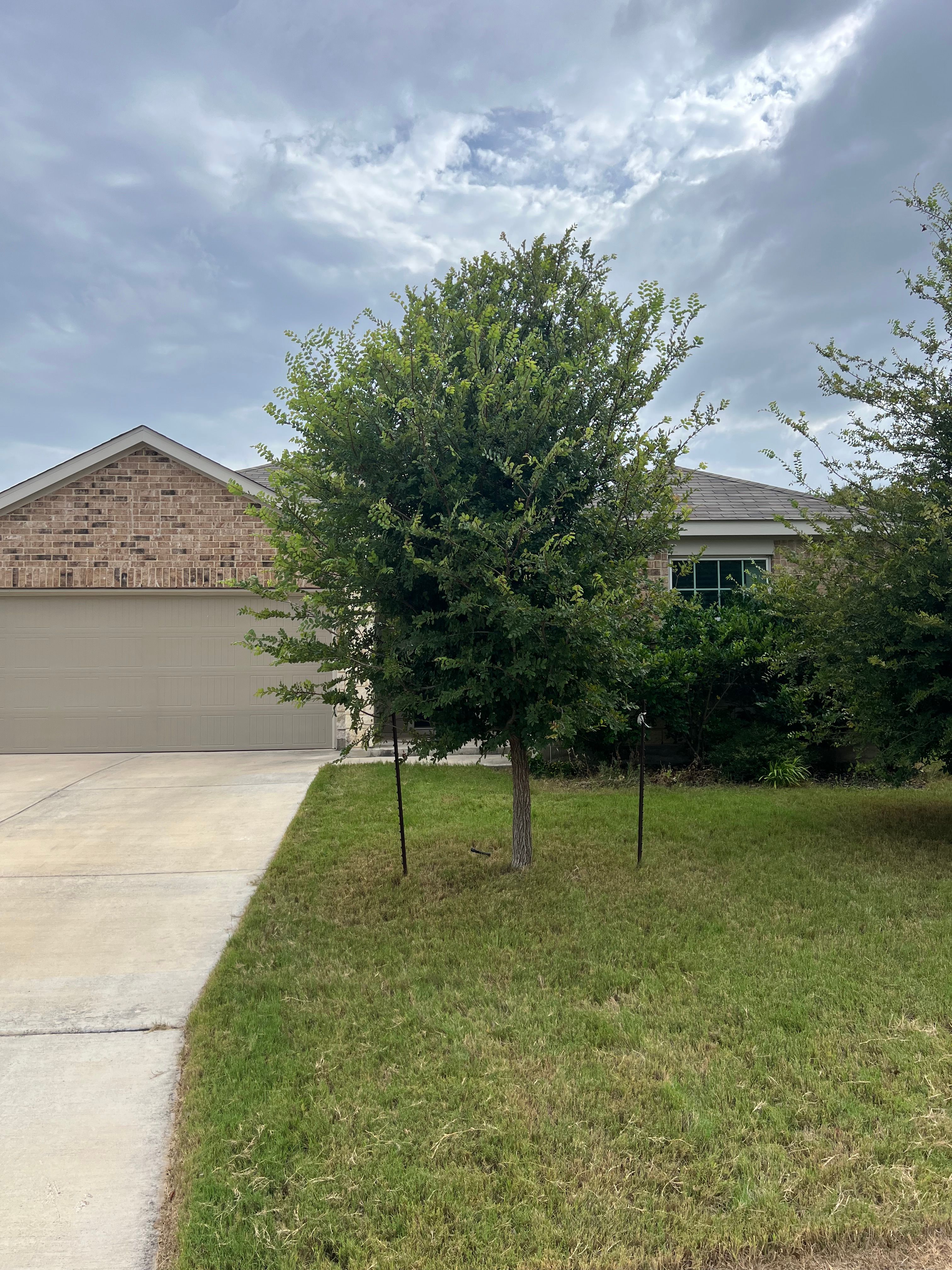  for DR Landscape in San Antonio, TX