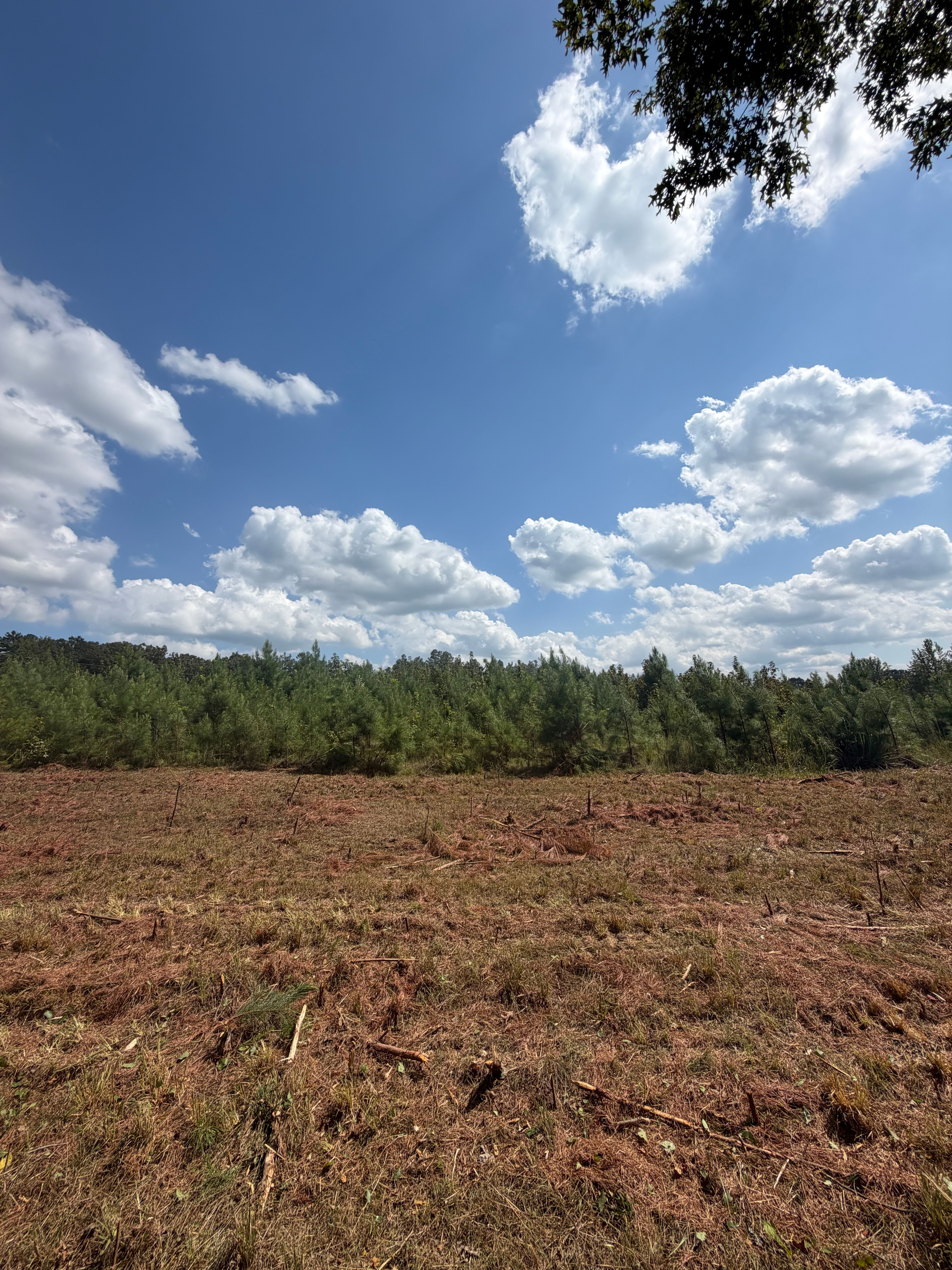  for Ross Excavation & Land Development in Middleton, TN
