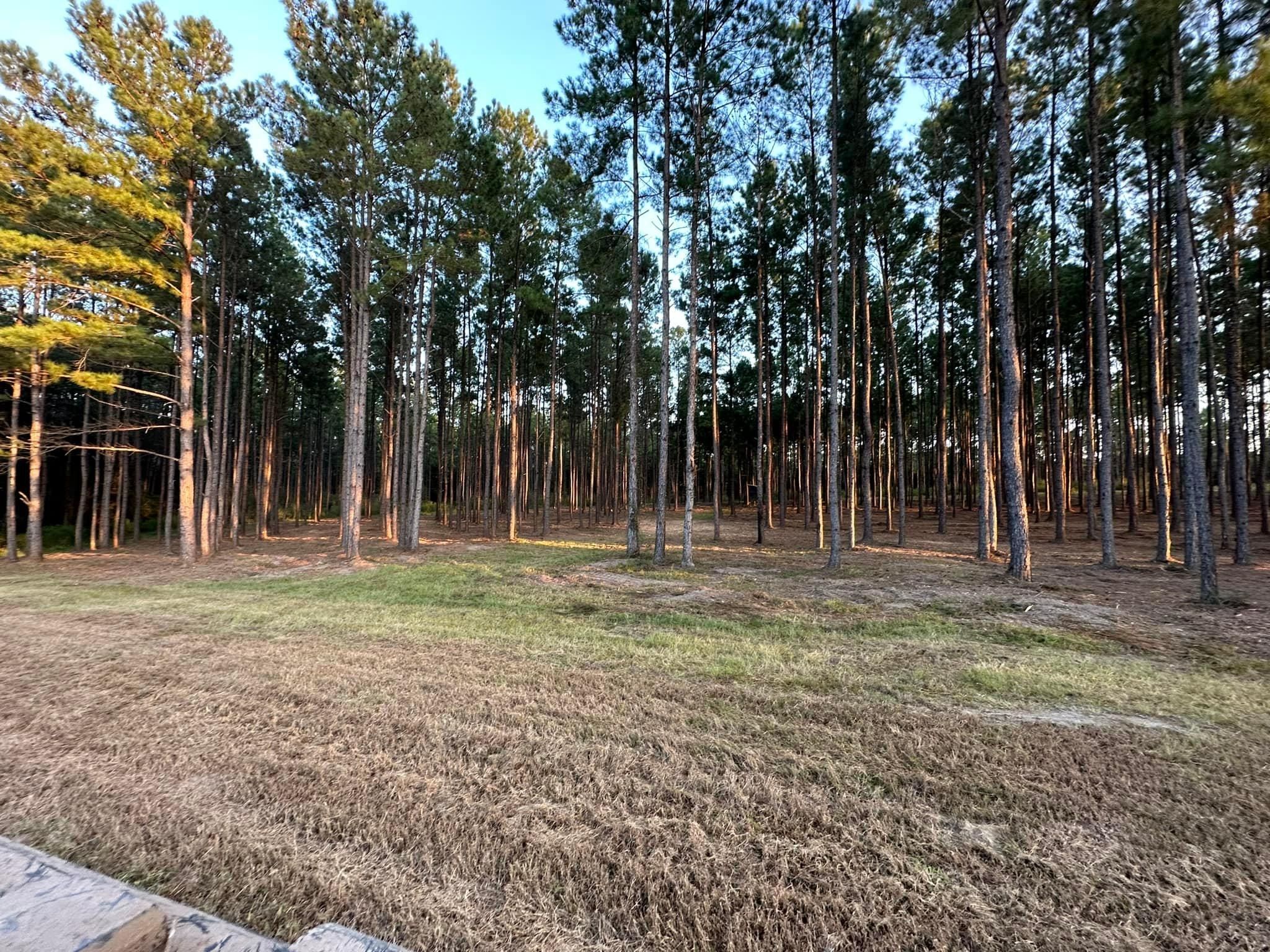 All Photos for White’s Land Maintenance in Milton,, FL