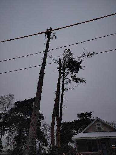  for Dan's Tree Service LLC in Bemidji, MN