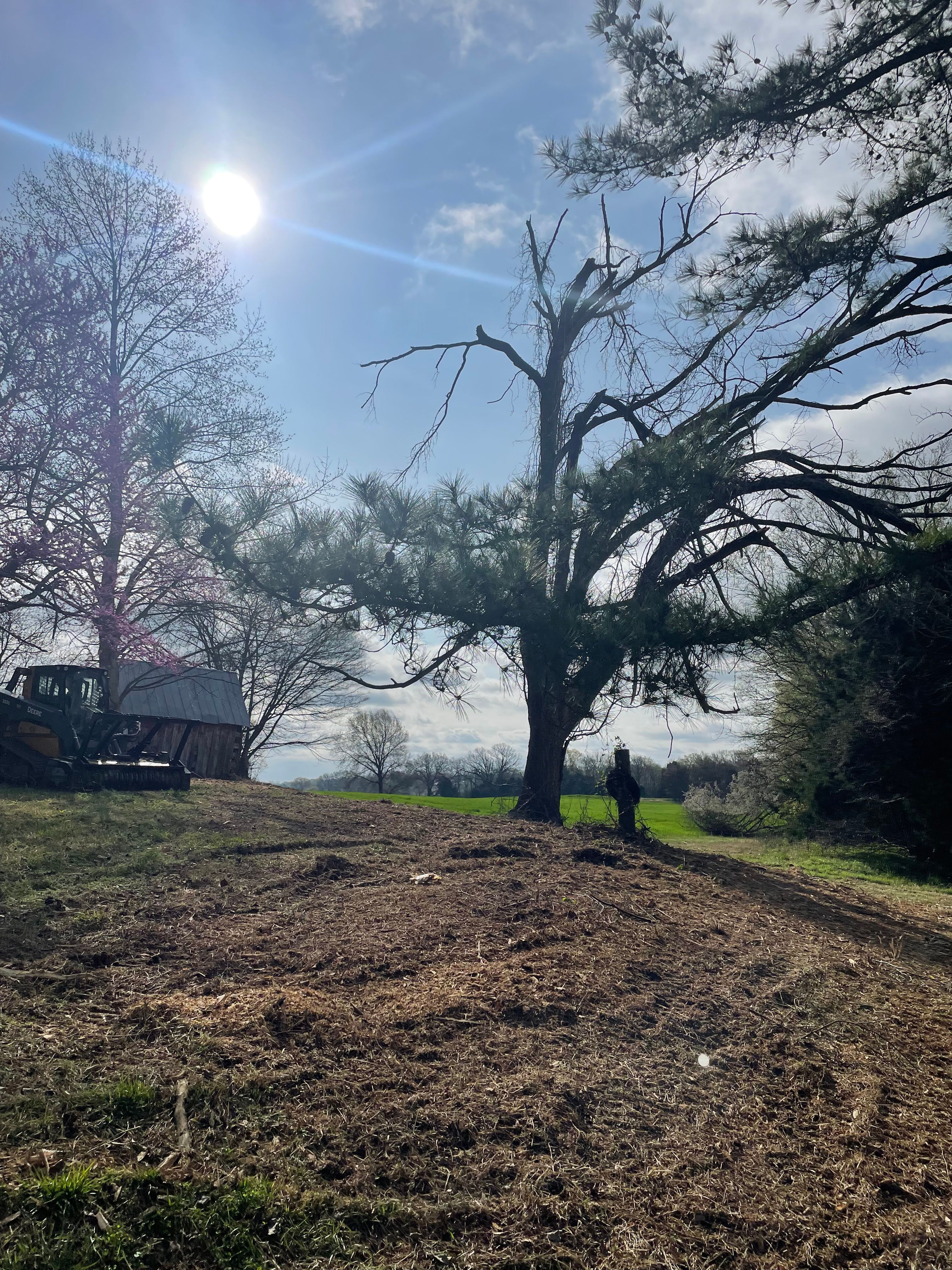  for Beaver Excavating Services in Friendship, TN