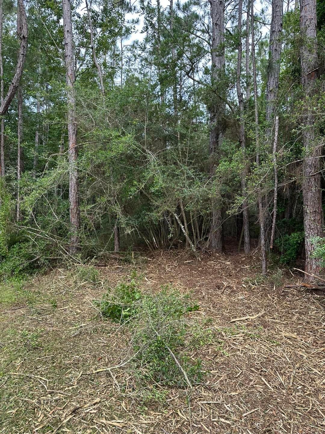 All Photos for White’s Land Maintenance in Milton,, FL