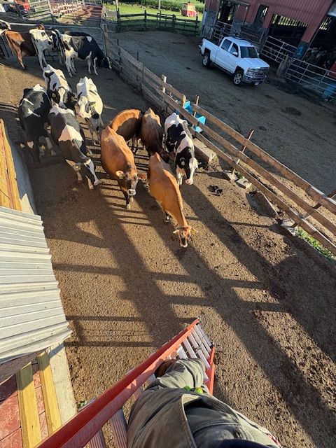  for Accurate Power in Mansfield Center, CT