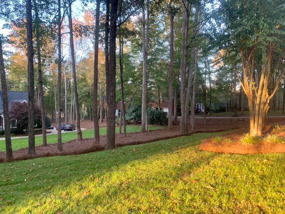  for Pecina Pine Needles in Monroe, NC