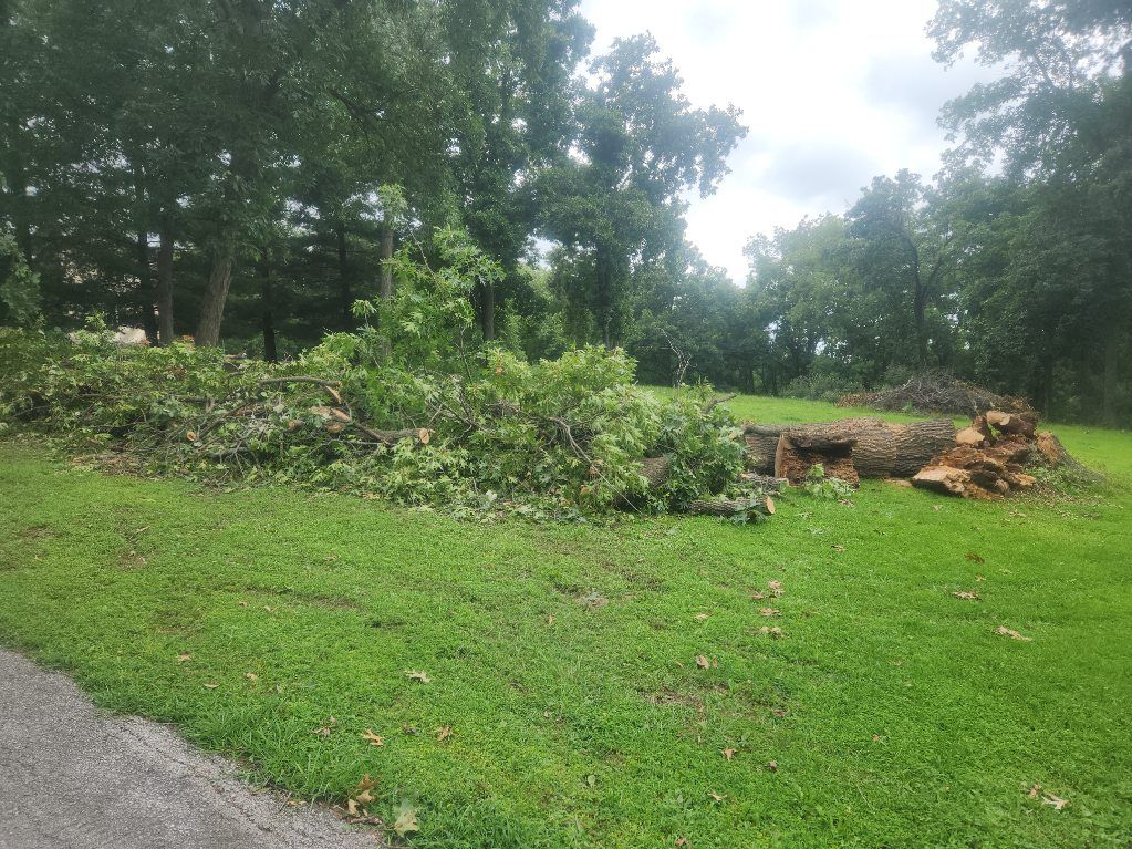  for Lawn Ranger Yard And Tree Service LLC in Ottumwa, IA