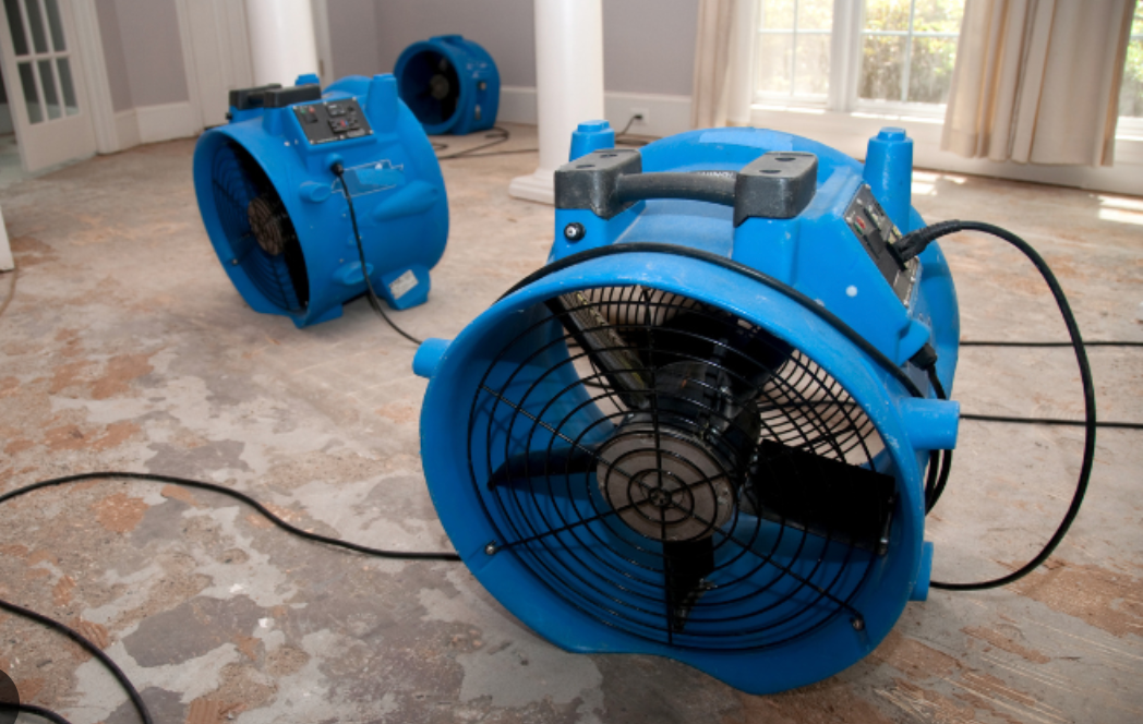  for All Clear Restoration in Clallam County, WA
