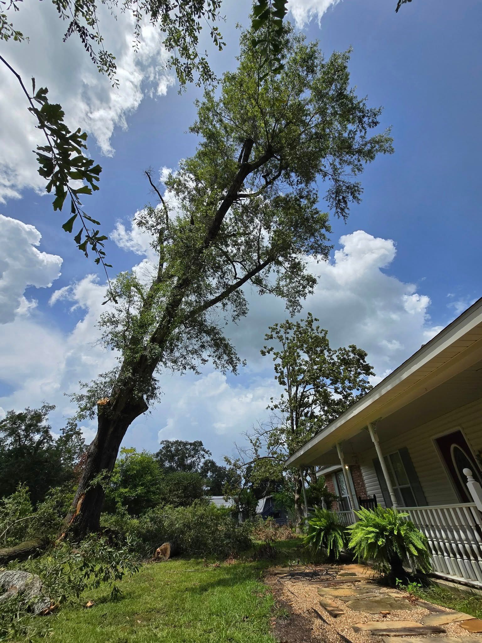  for Breaktime Tree Trimming & Removal in Oakdale, LA