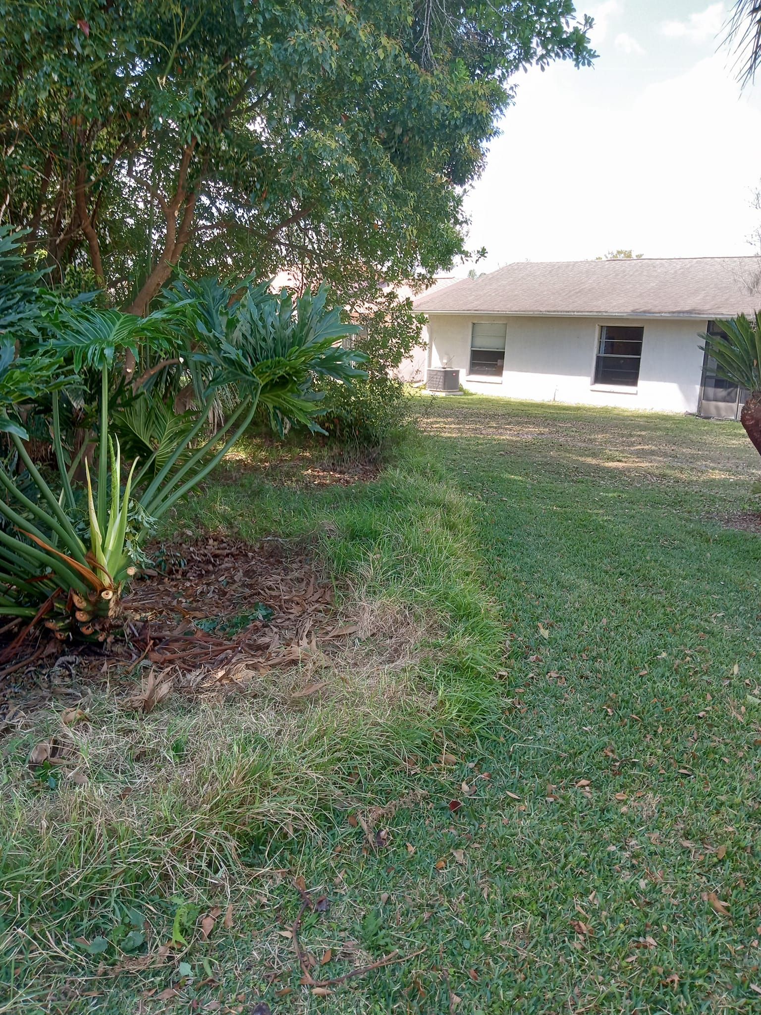  for A Southern Style Tree Service in Orlando, FL