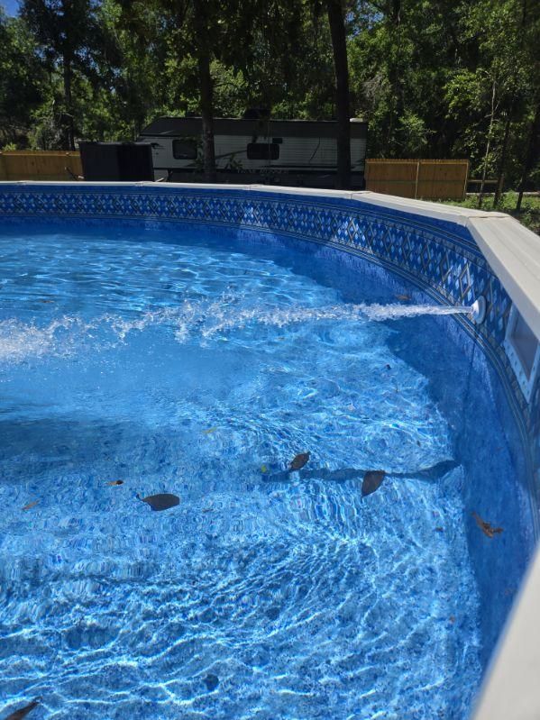  for Down & Dirty Pool Service in Crawfordville, FL