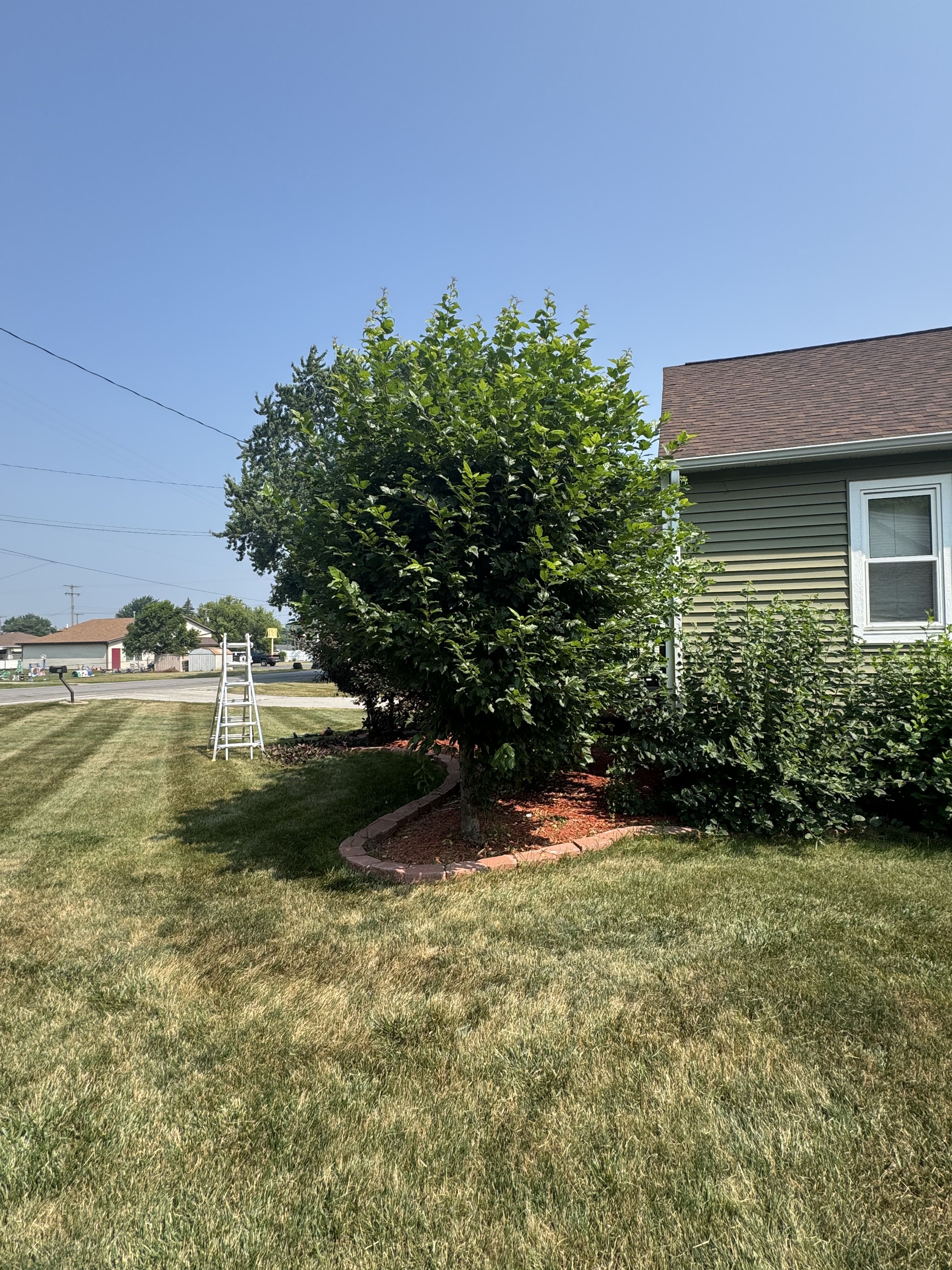  for Daugherty's Tough Lawn Care in Essexville, MI