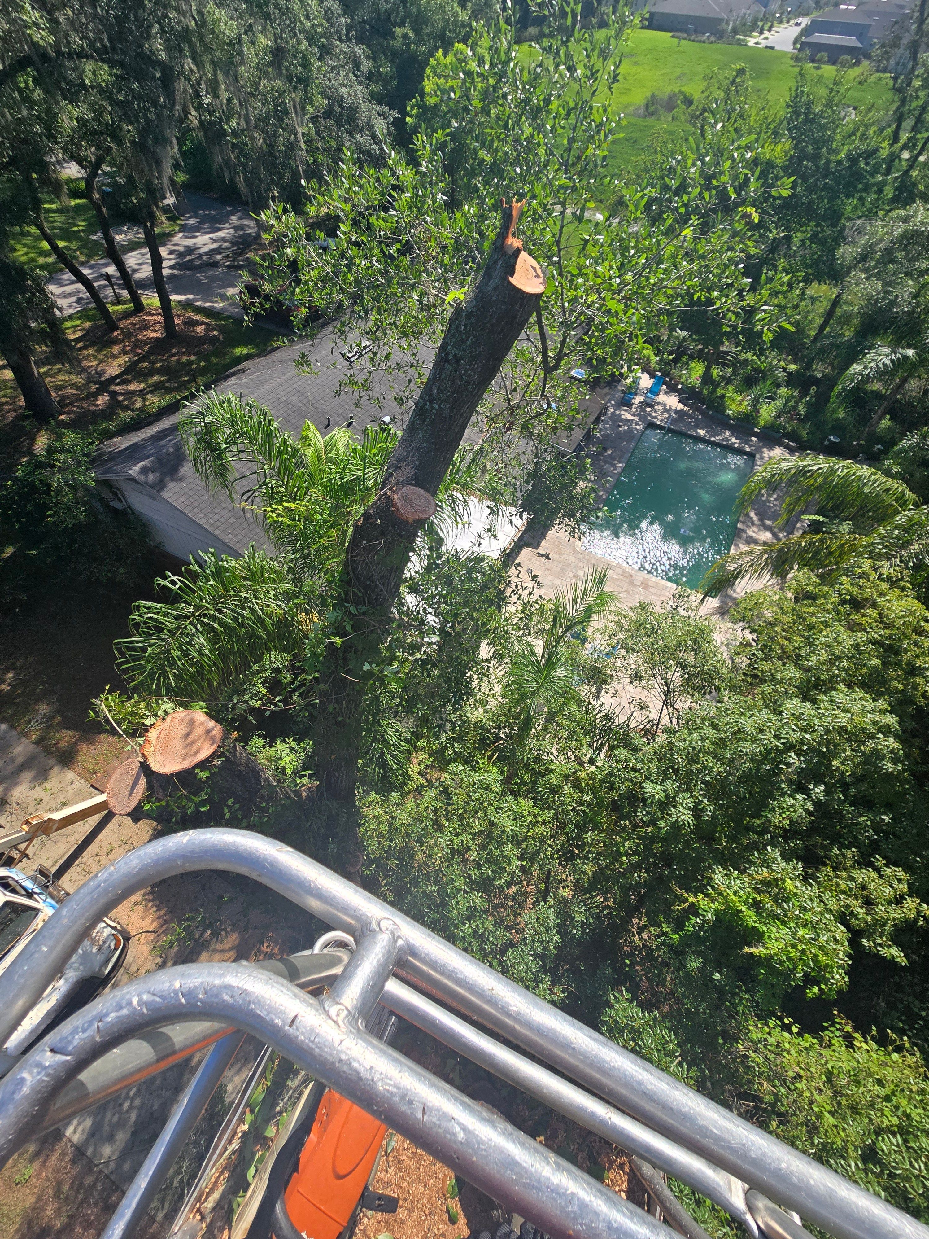 All Photos for Near Me Tree Service, Inc. in DeLand, FL