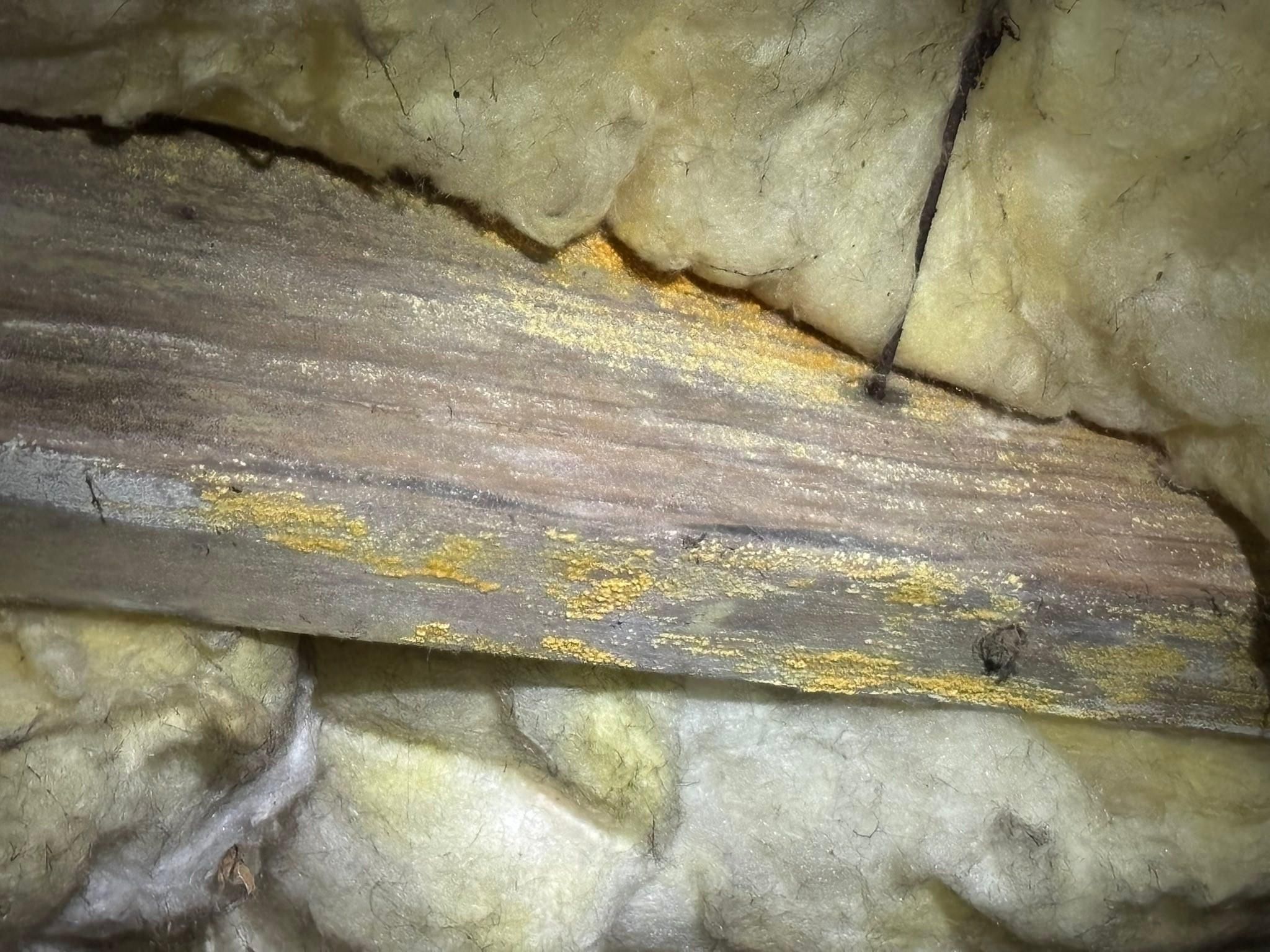  for R&R Home Solutions in Mayfield, KY