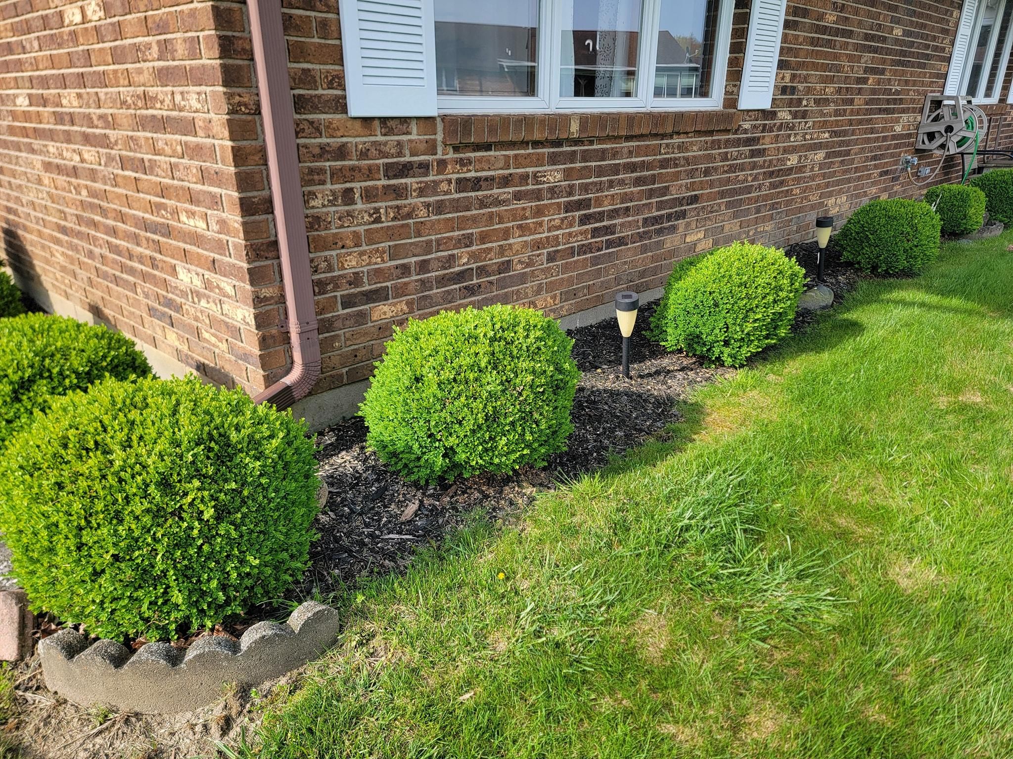 All Photos for Tingley's Green Land Services in Springfield, Ohio
