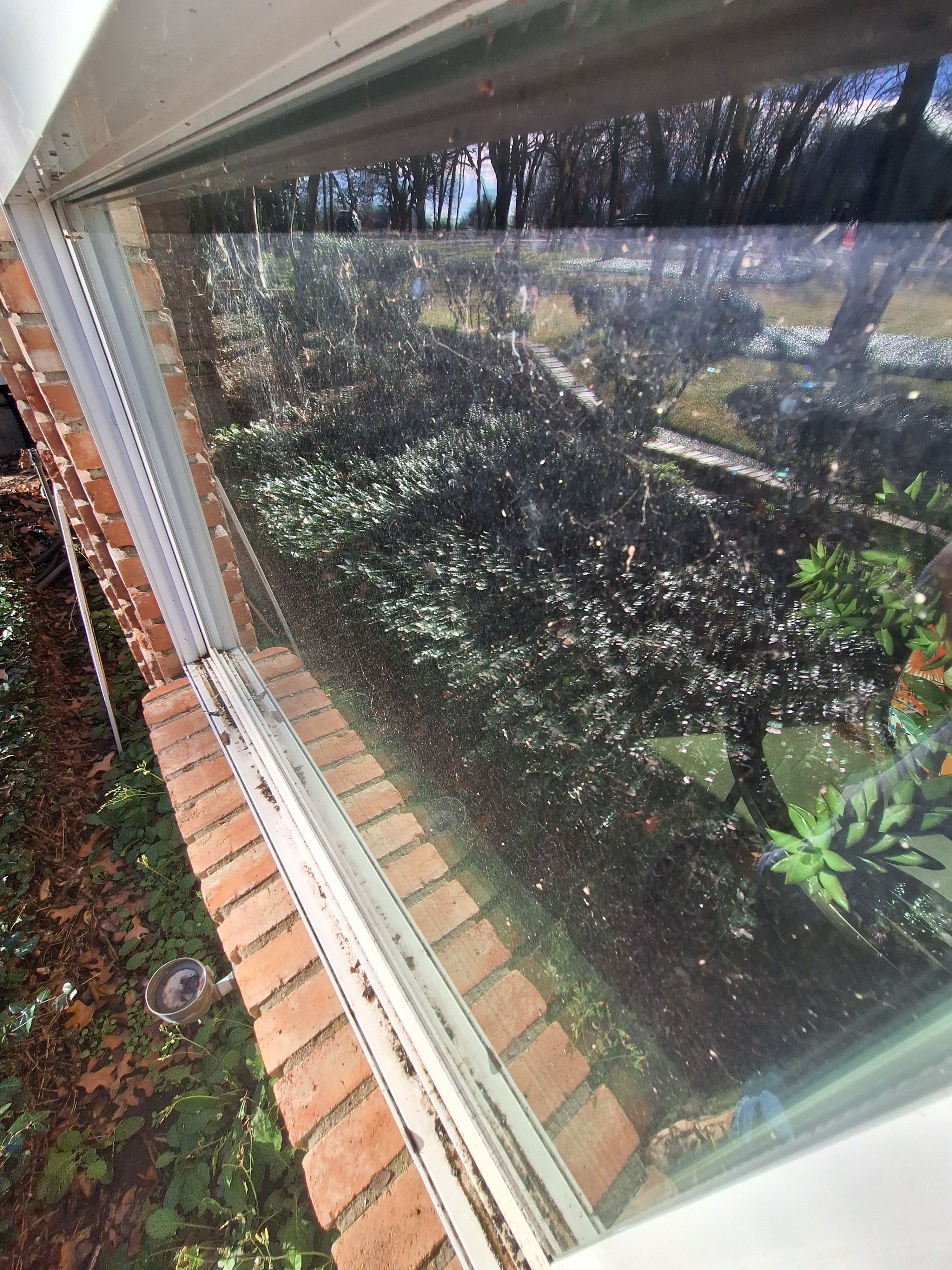  for Connected Exterior Cleaning in Dallas, TX