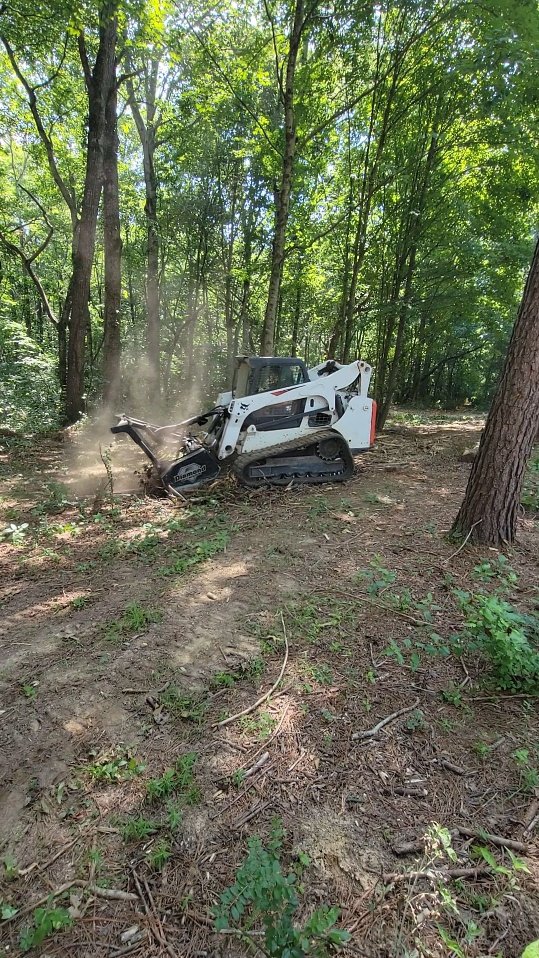  for Z's Land Management & Forestry Mulching in Smithville, TN