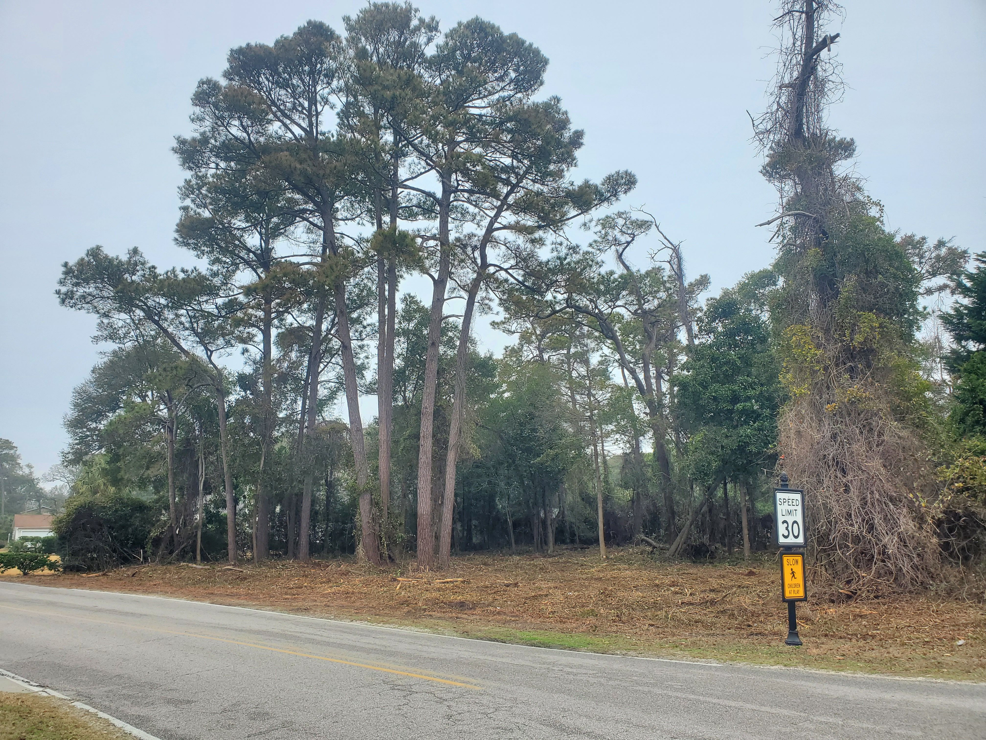 All Photos for TJ Farm and Land Management in Loris, SC