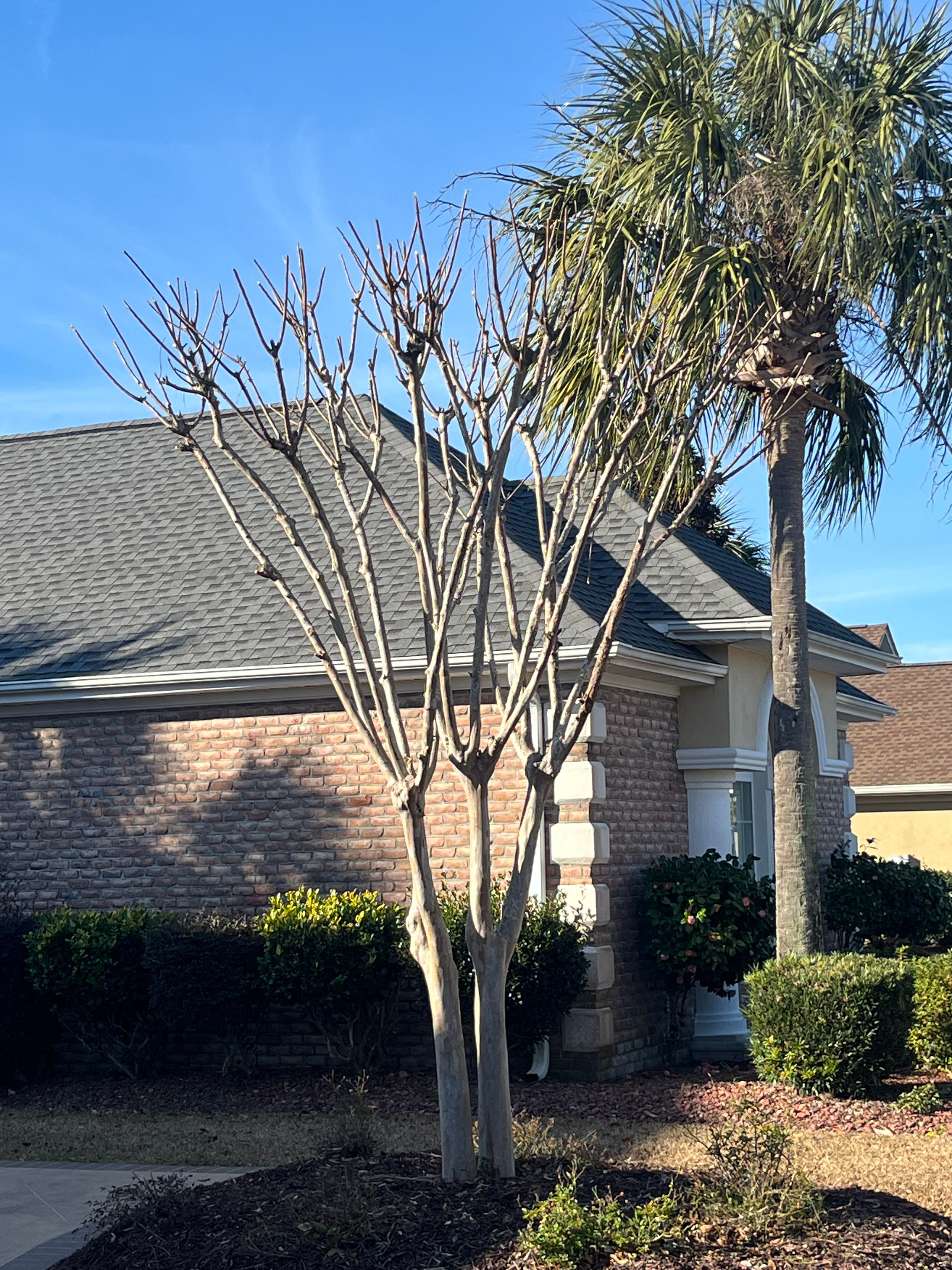  for New Creation Landscaping in Myrtle Beach, SC