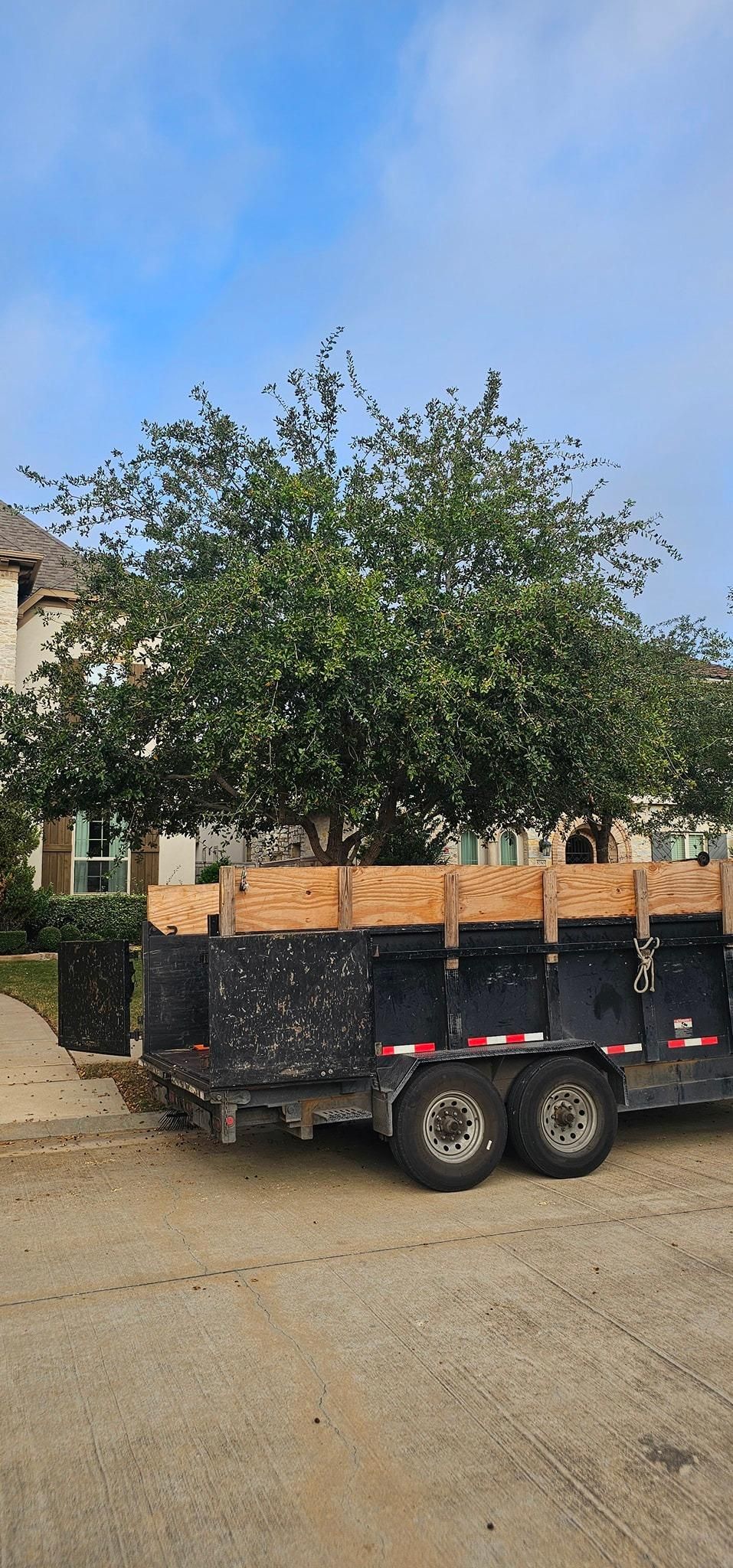  for Servin's Tree Care  in Houston, TX