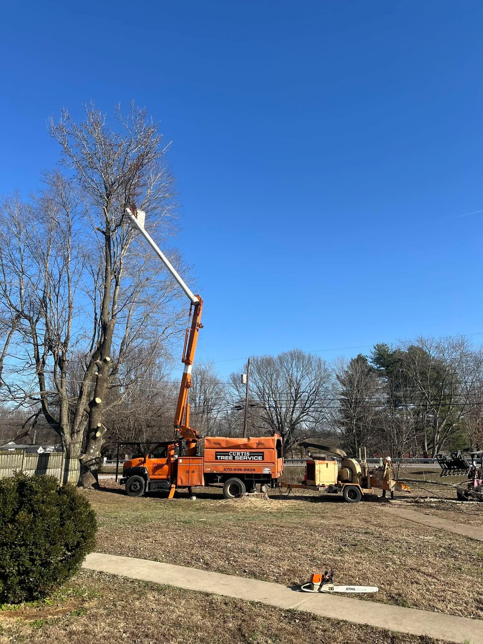  for Curtis Tree Service LLC in Hopkins County, KY