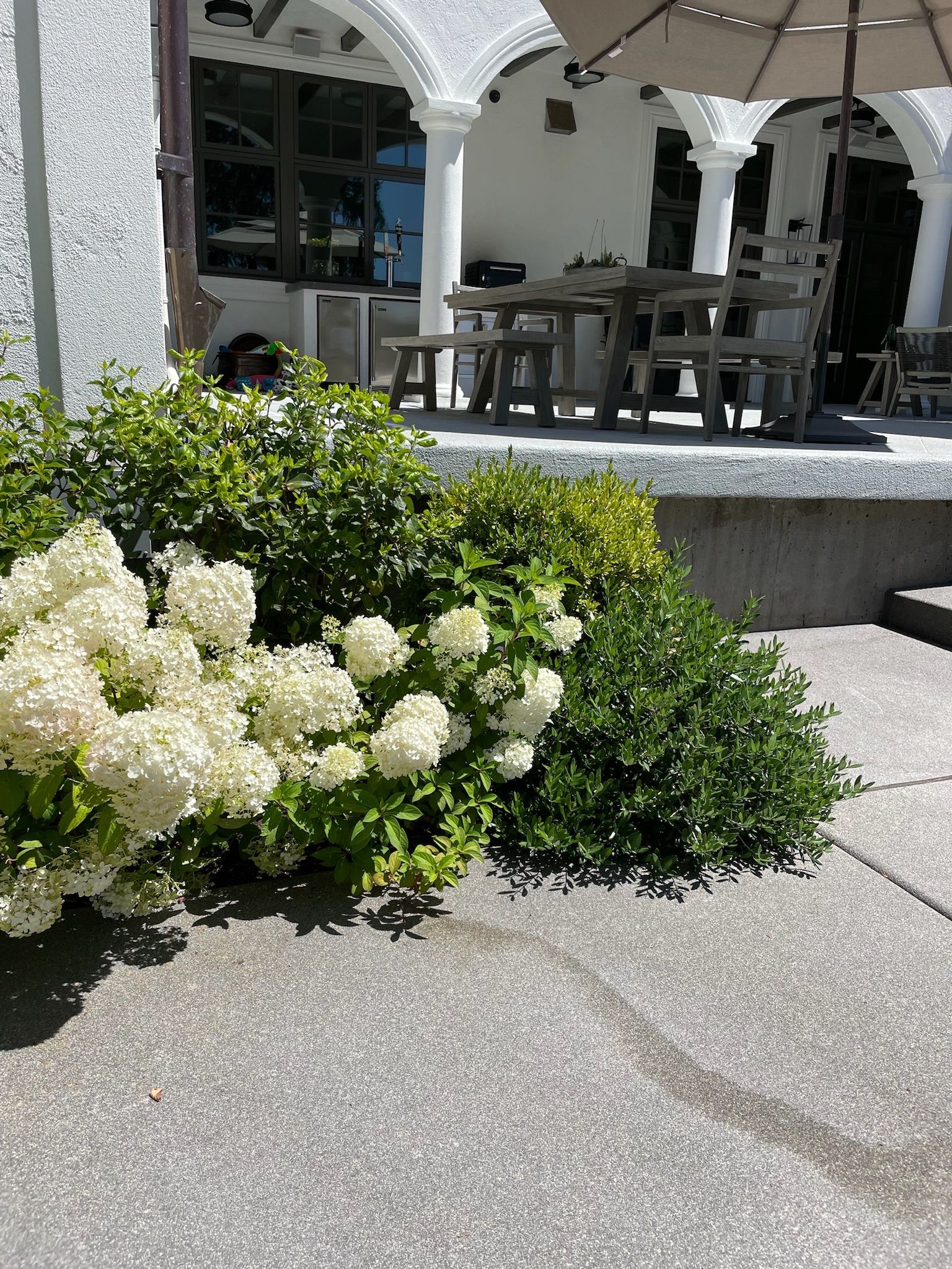  for Courtney Lewis Landscape Design in Portland, OR