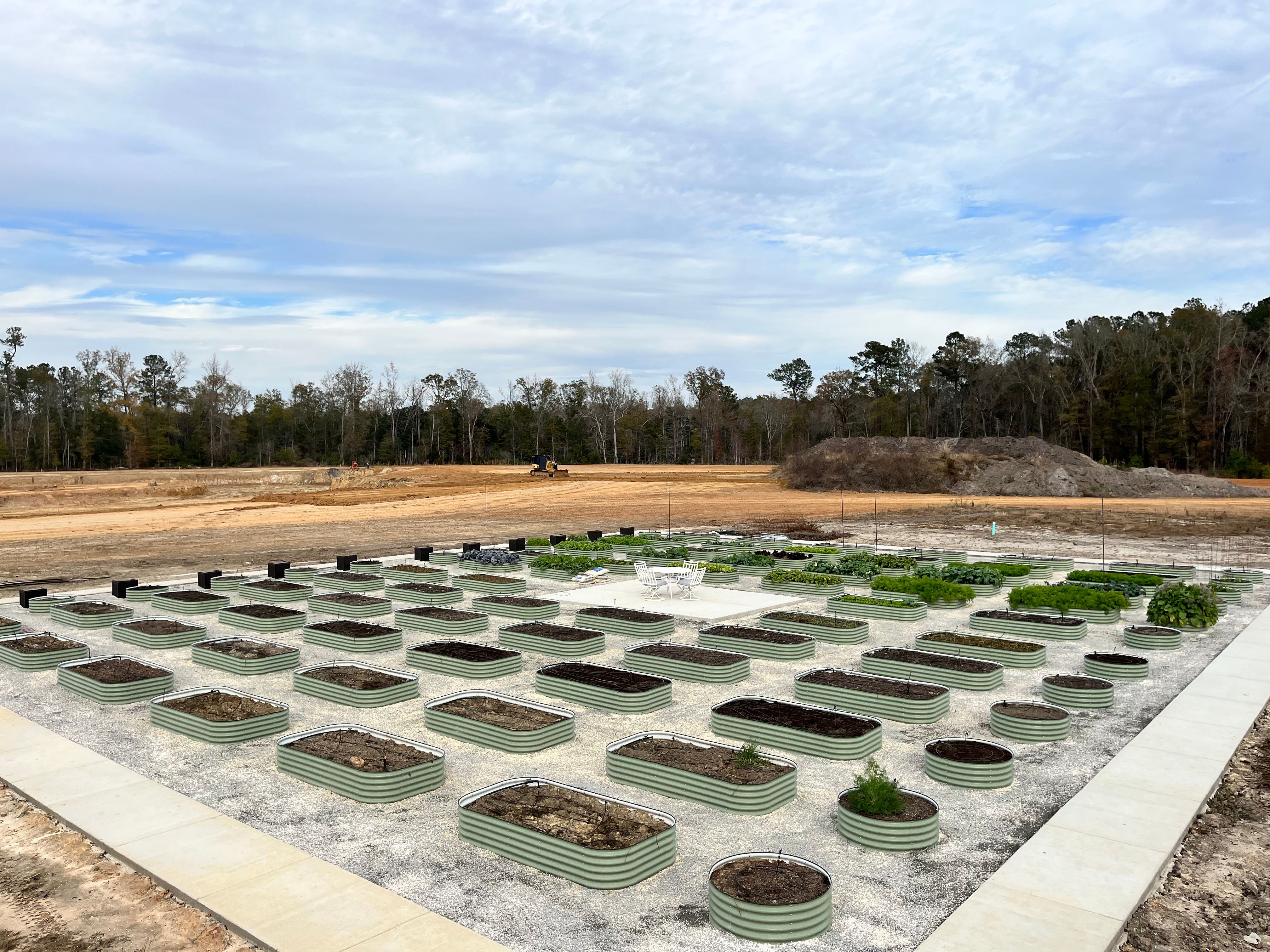 Landscape installation for CW Earthworks, LLC in Charleston, South Carolina