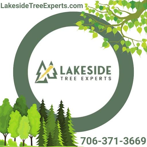 All Photos for Lakeside Tree Experts LLC in Hartwell, GA