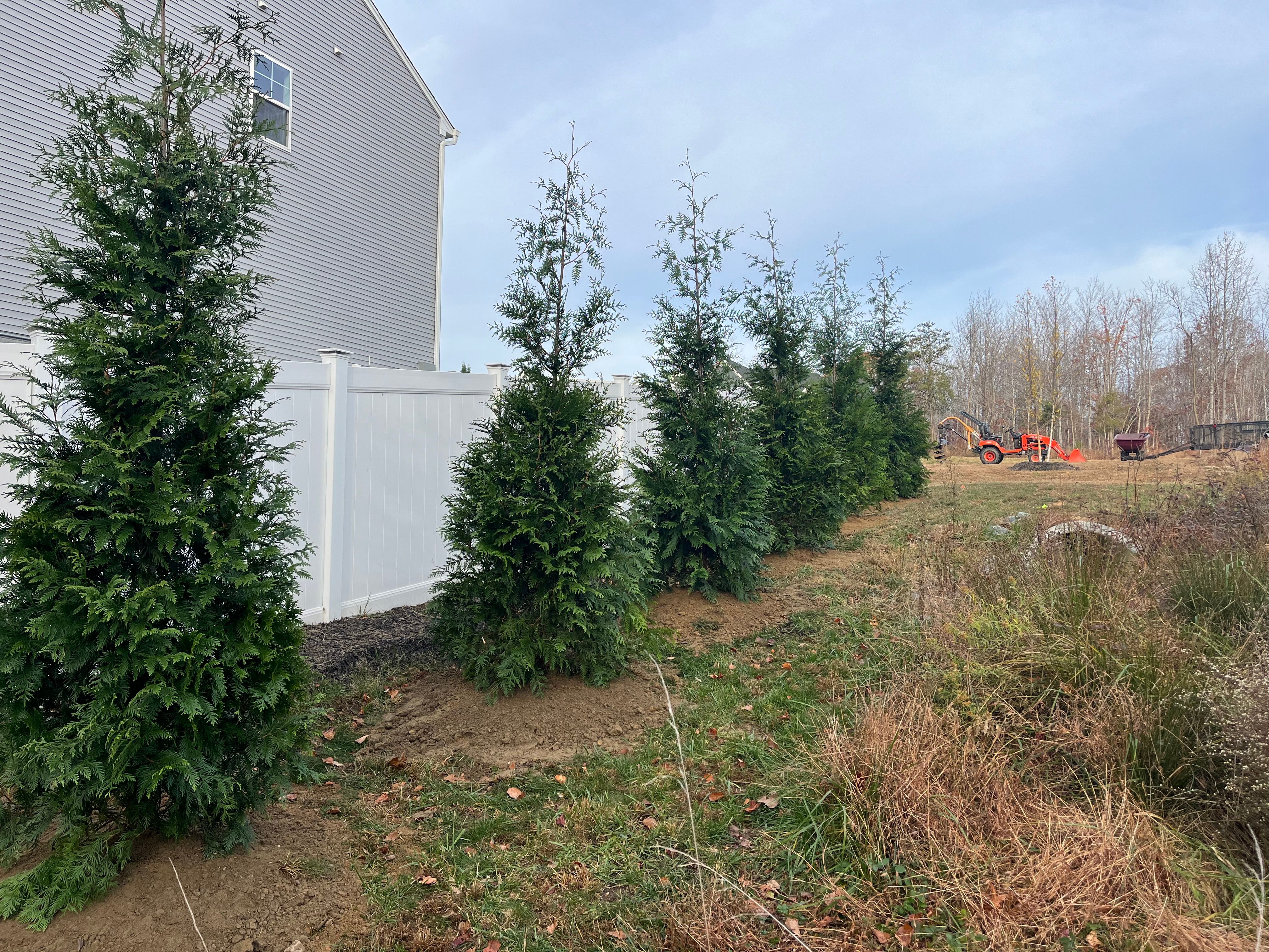  for Atlas Home Services in Mechanicsville, VA