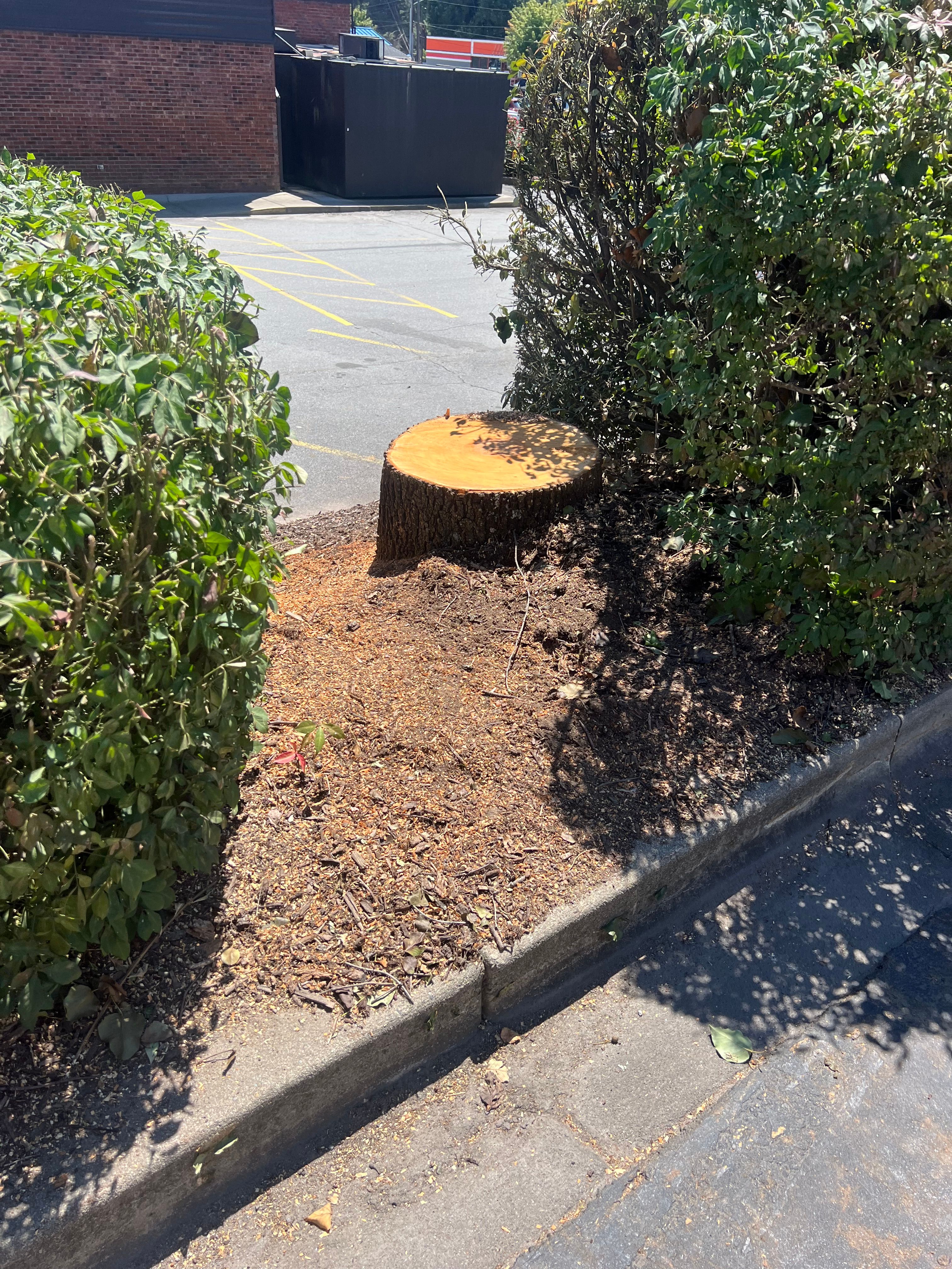  for Ground To Sky Tree Care in Asheville, North Carolina