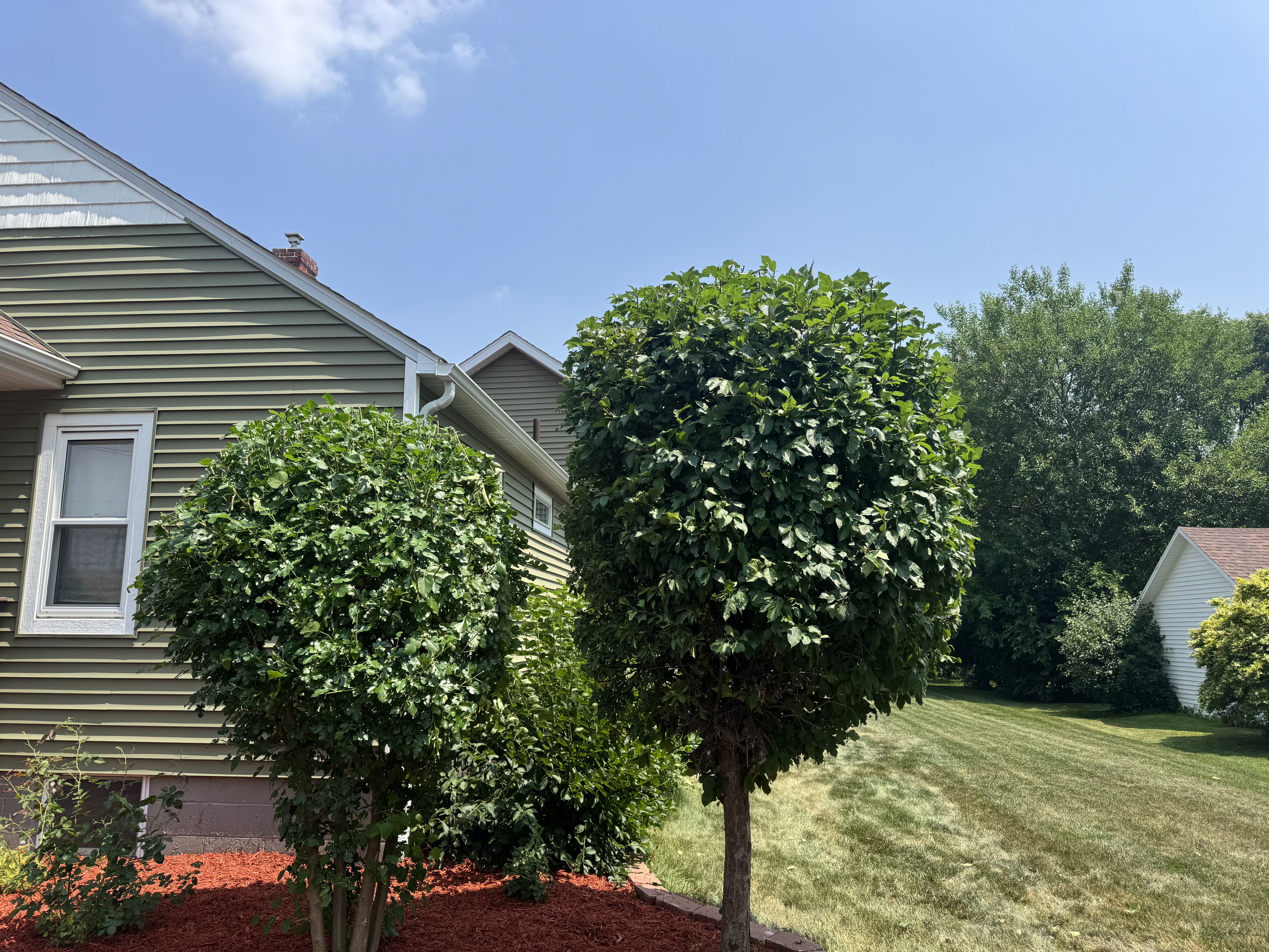  for Daugherty's Tough Lawn Care in Essexville, MI
