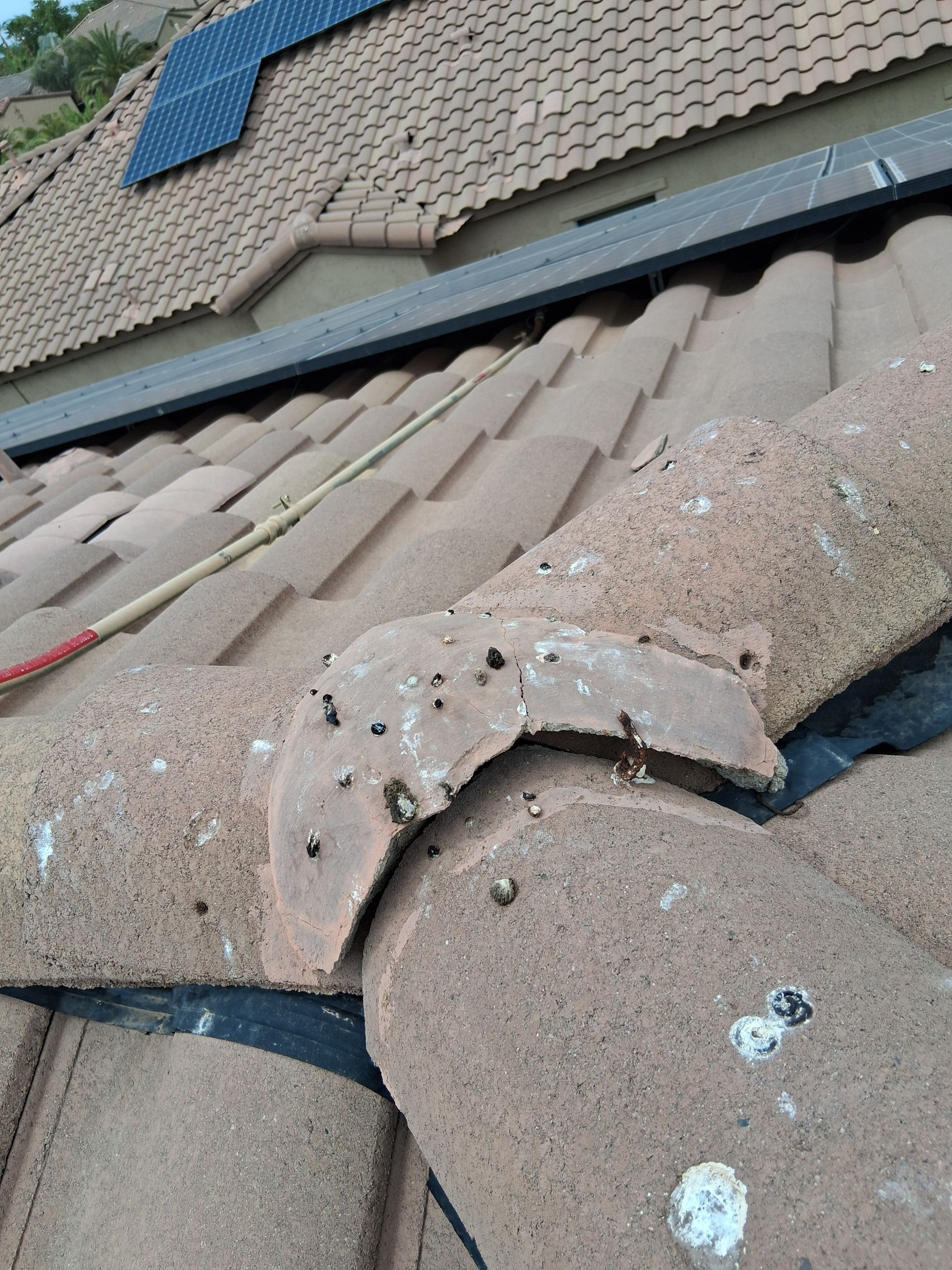  for Olson & Sons Contracting in Mesa, AZ