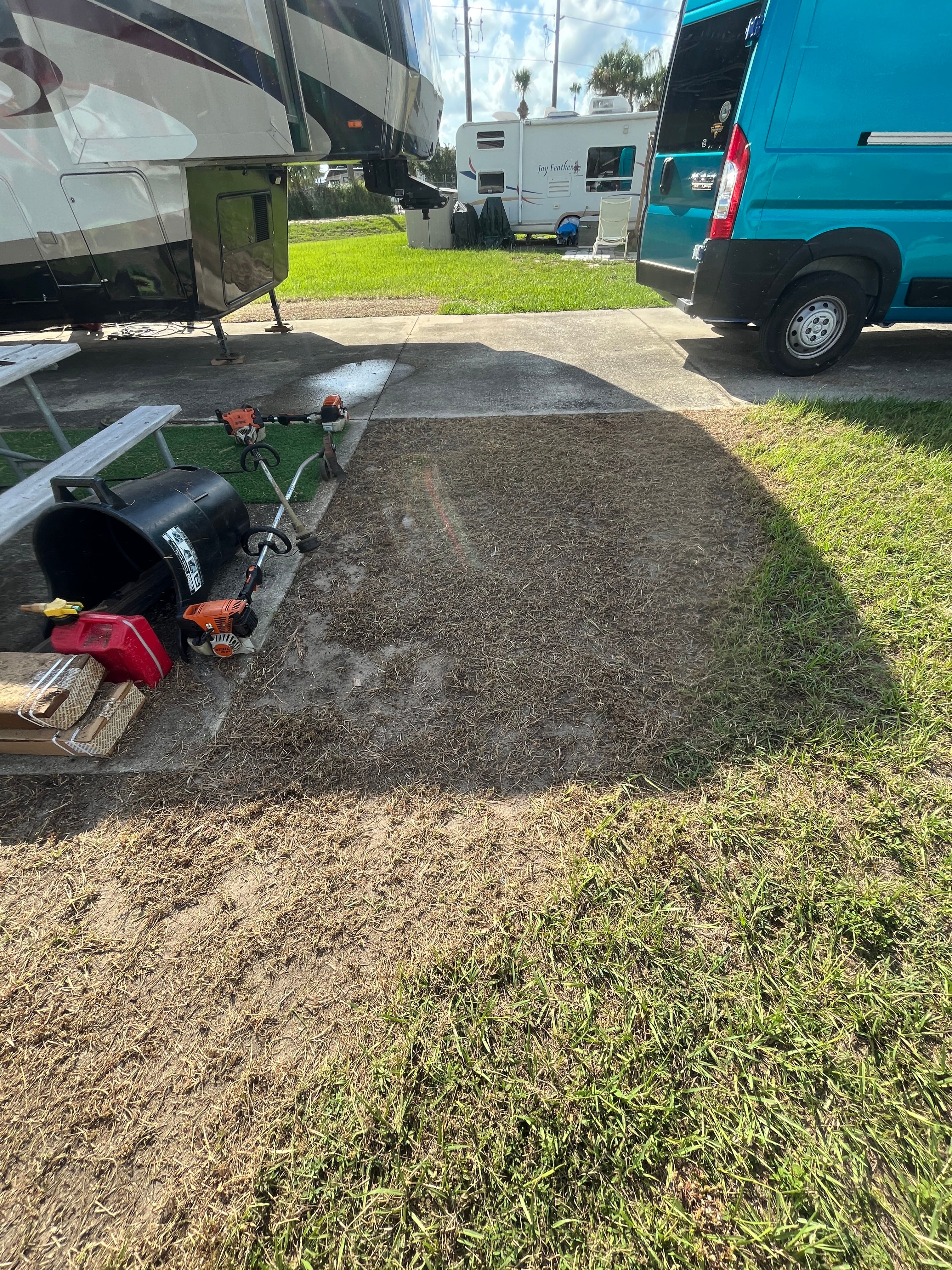 Tree Services for Ludlows Services in Clermont, FL