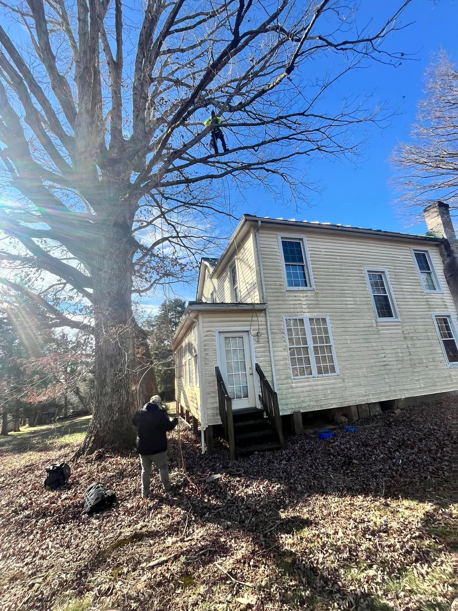  for Ricky's Tree Service & Property Care in Orange, VA