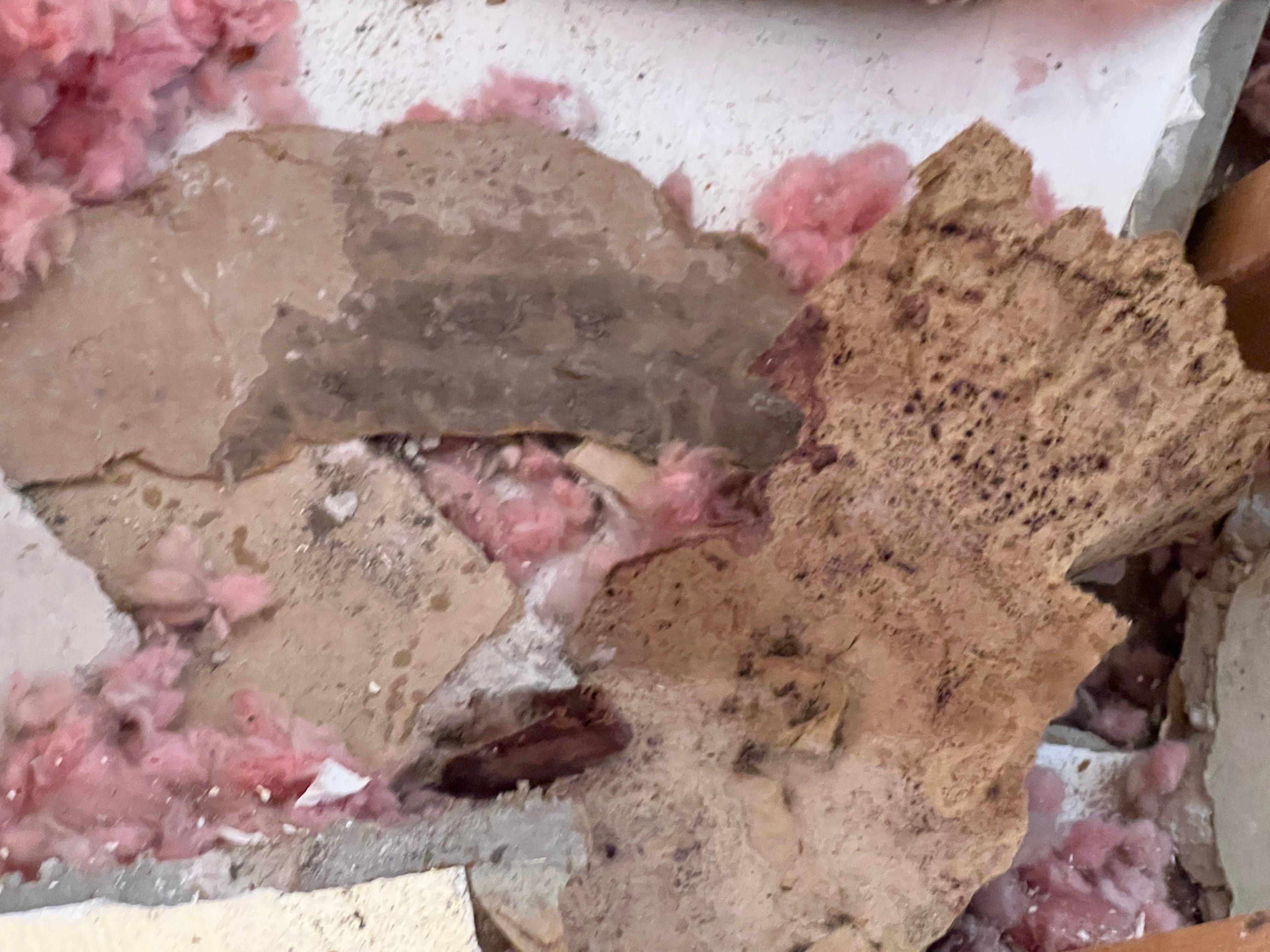  for N&D Restoration Services When Disaster Strikes, We Come In in Cape Coral,  FL