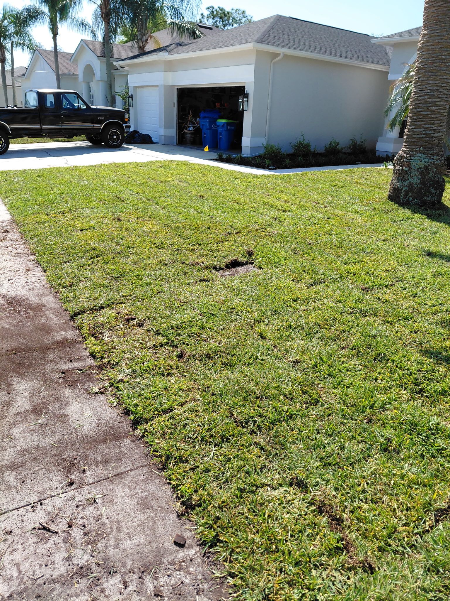  for Gulf Bay Sod in Clearwater, FL