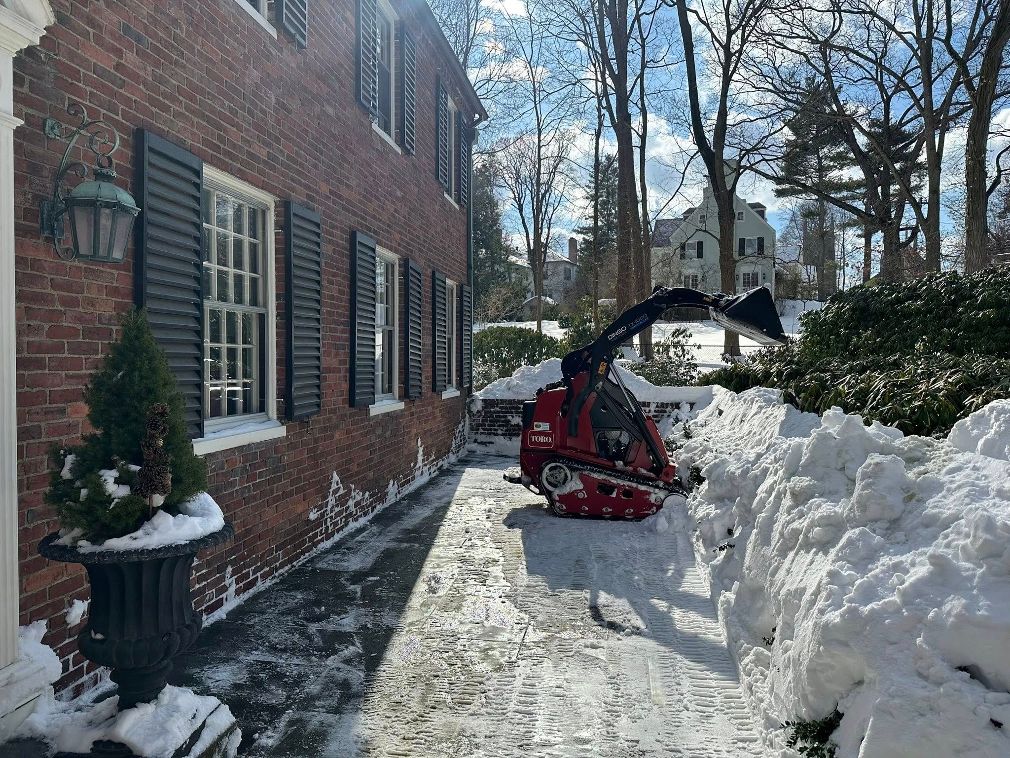  for Saavedra & Sons Landscaping in Waltham, MA