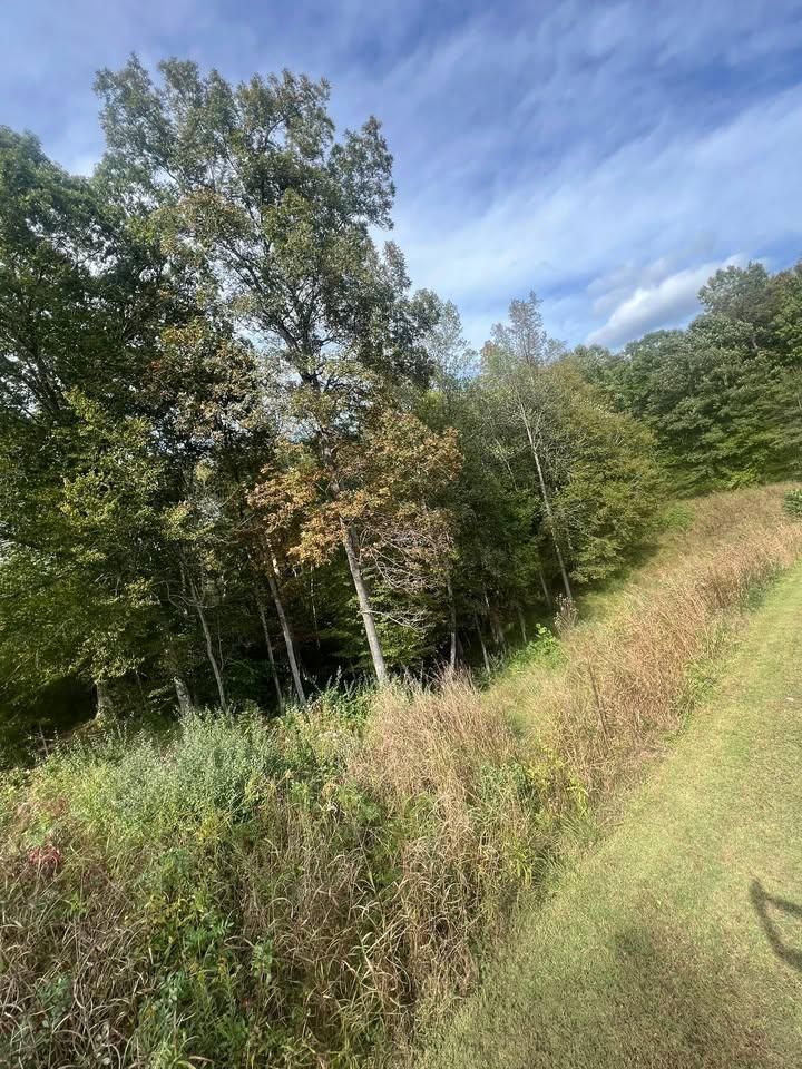  for Cedar Point Land Management in Richmond, VA