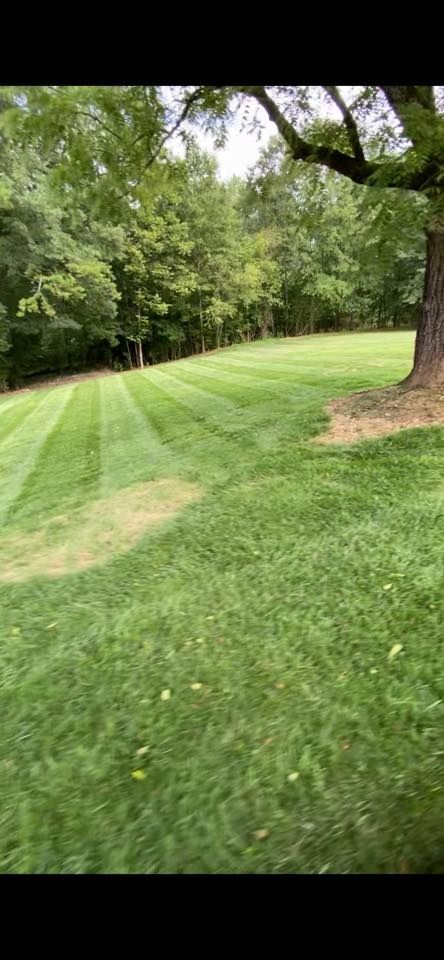  for Taylormade Lawn Management in Habersham County, GA