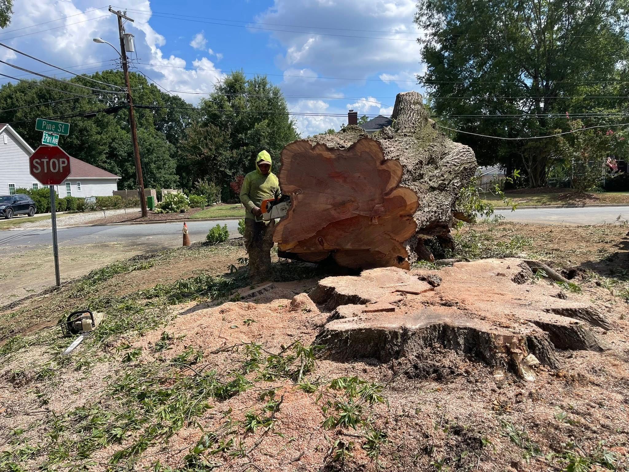  for K-2 Tree Service in Shelby, NC