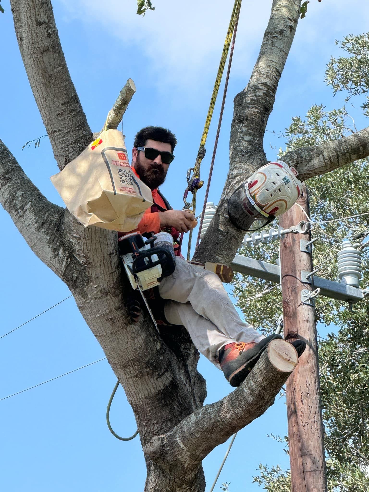  for Servin's Tree Care  in Houston, TX