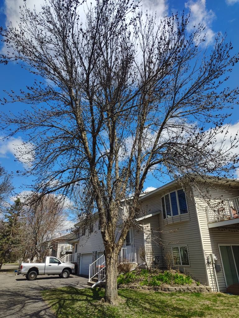 All Photos for Big River lawn Care services and snow LLC in Wausau, WI