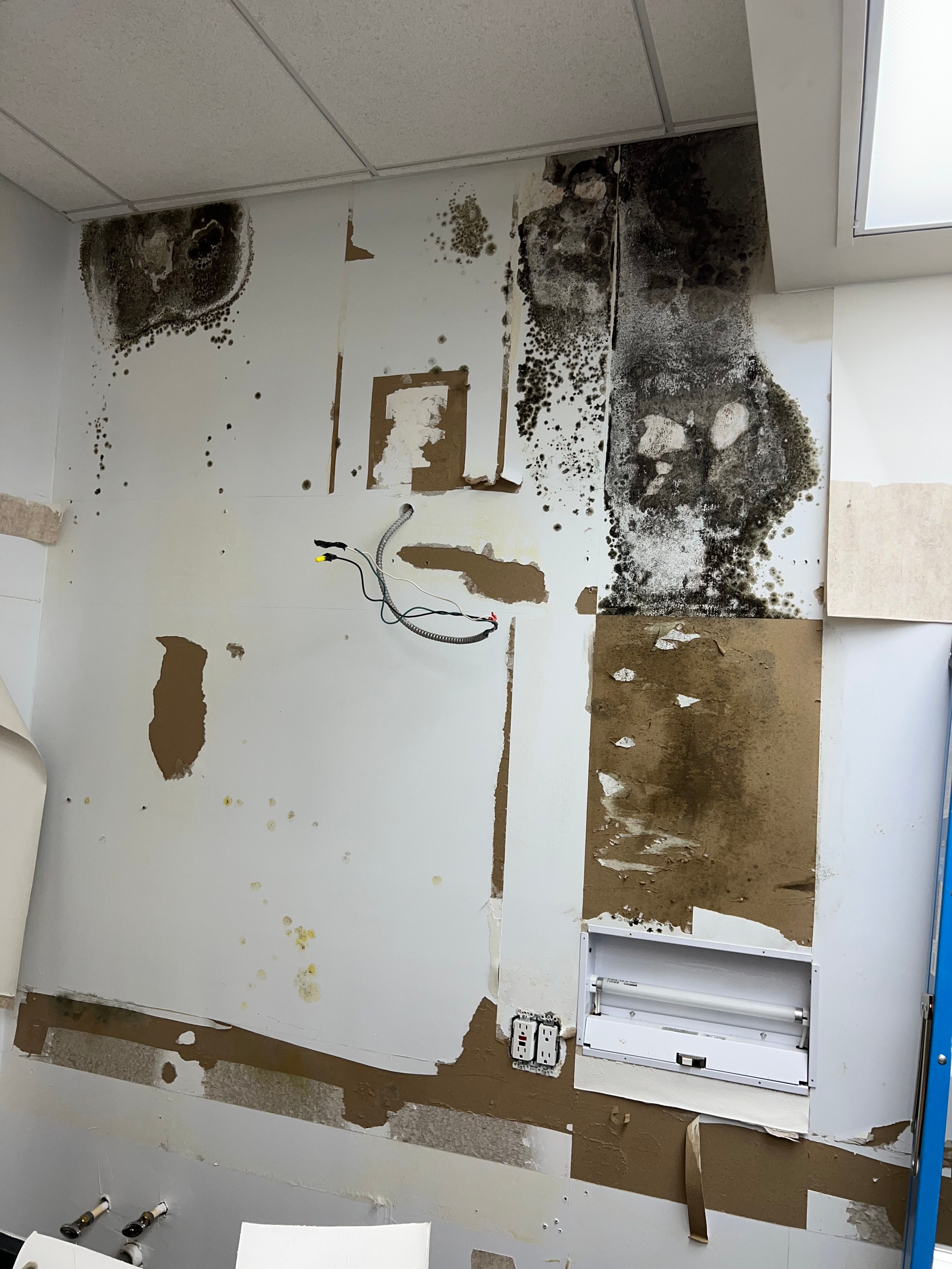  for N&D Restoration Services When Disaster Strikes, We Come In in Cape Coral,  FL