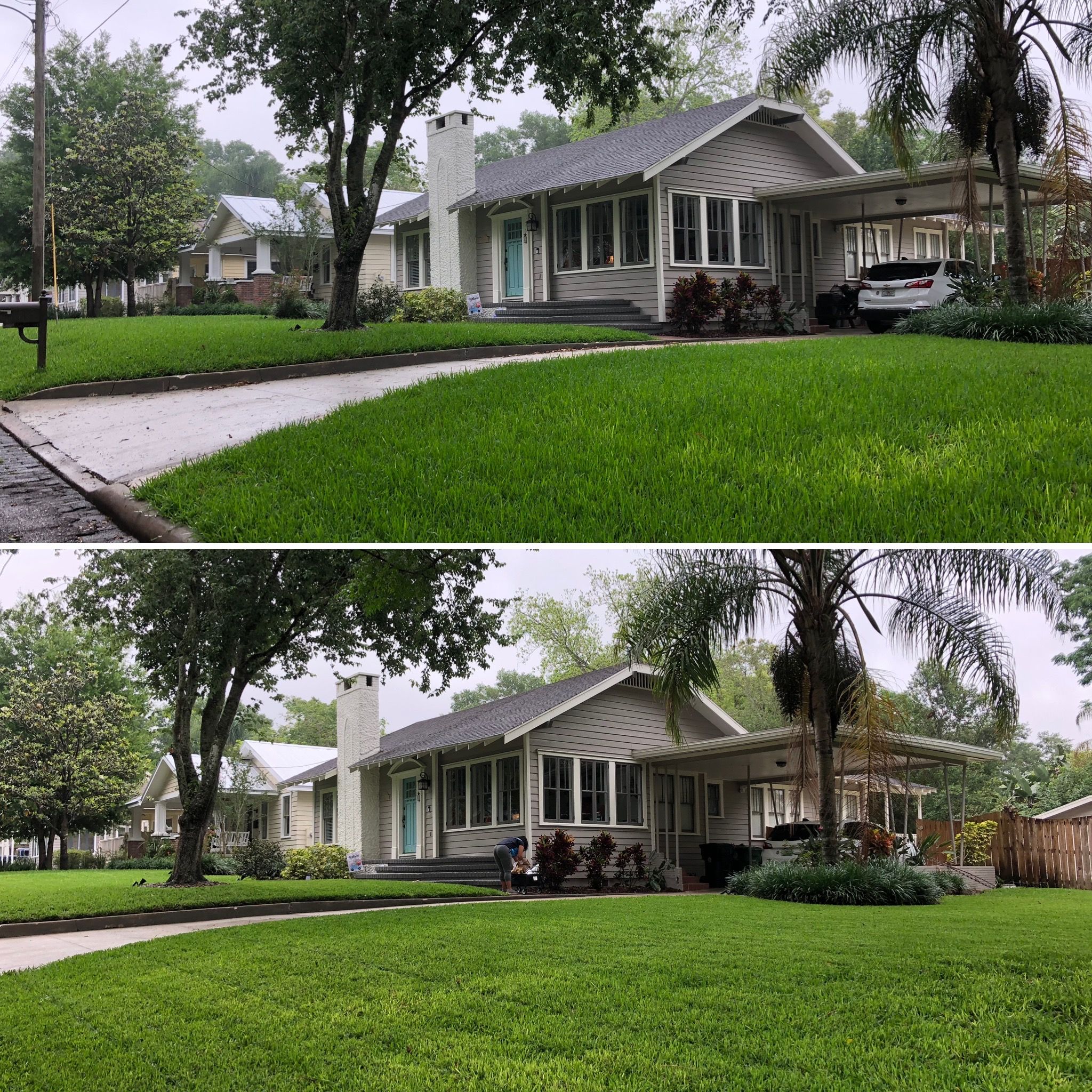  for Wicked Weeds Propertycare in Tampa, Florida