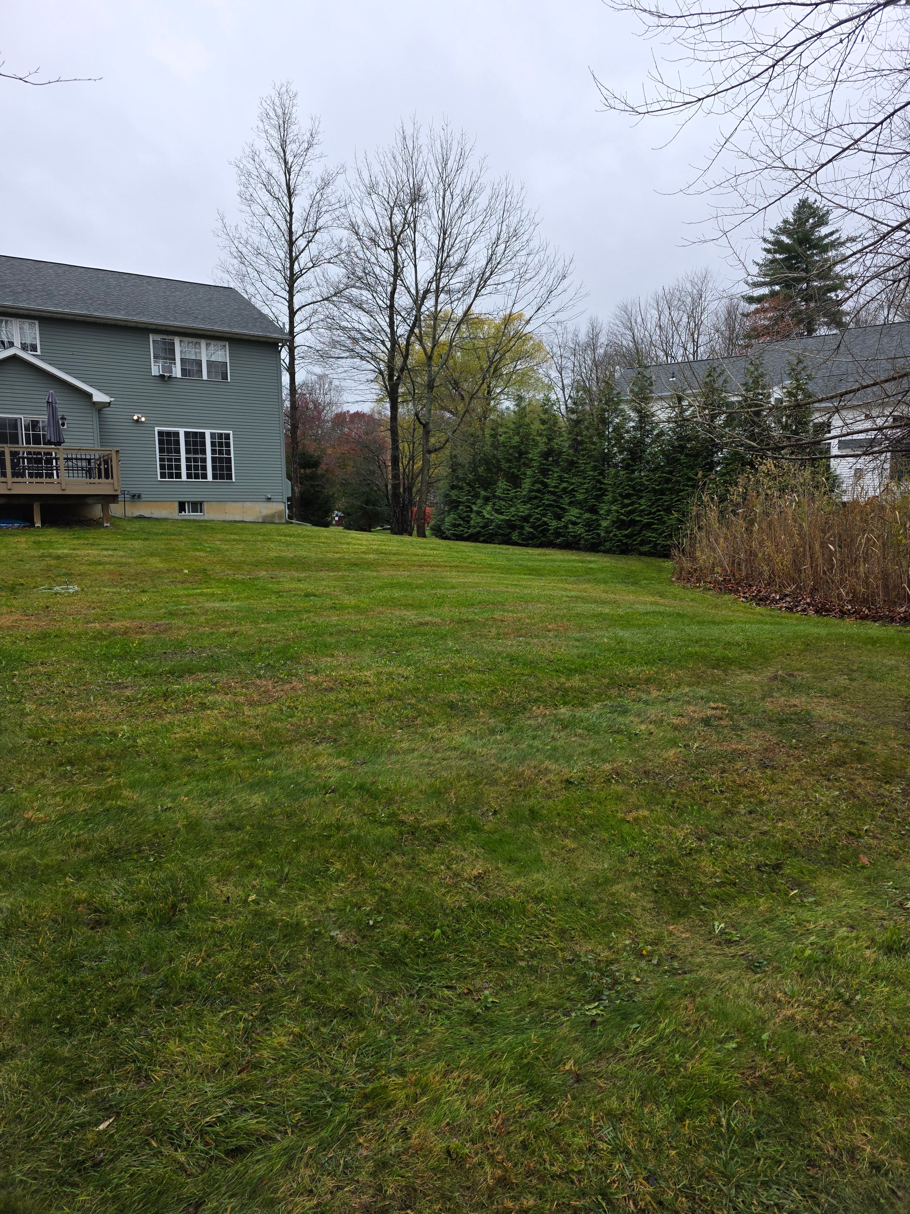  for Sweet Scapes in Ballston Spa, NY
