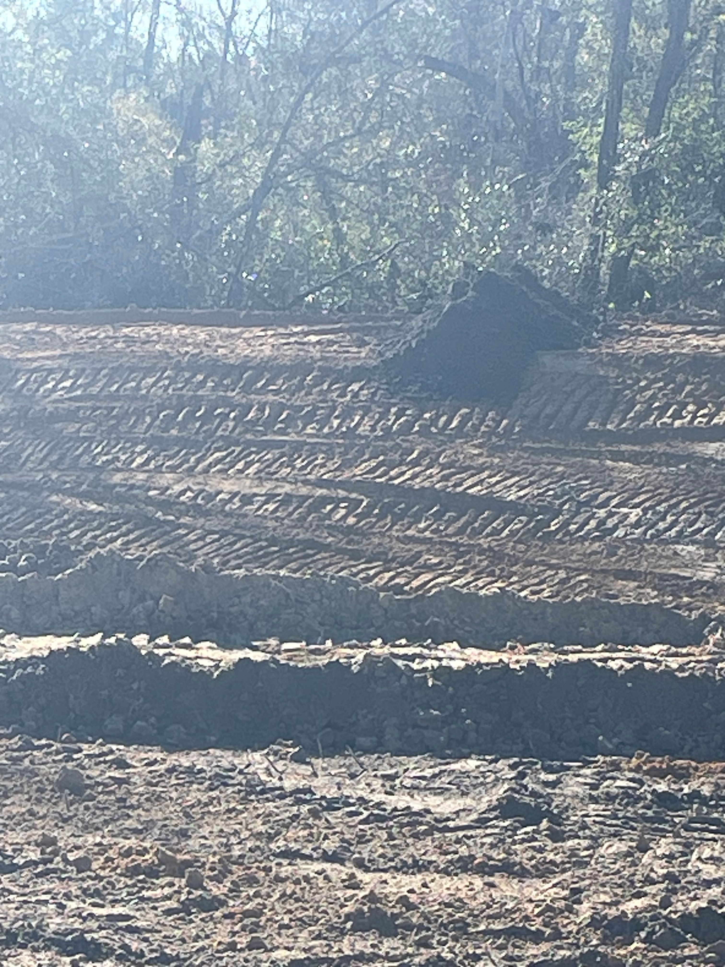 All Photos for Ewc Land Clearing and more in Lake Park, GA