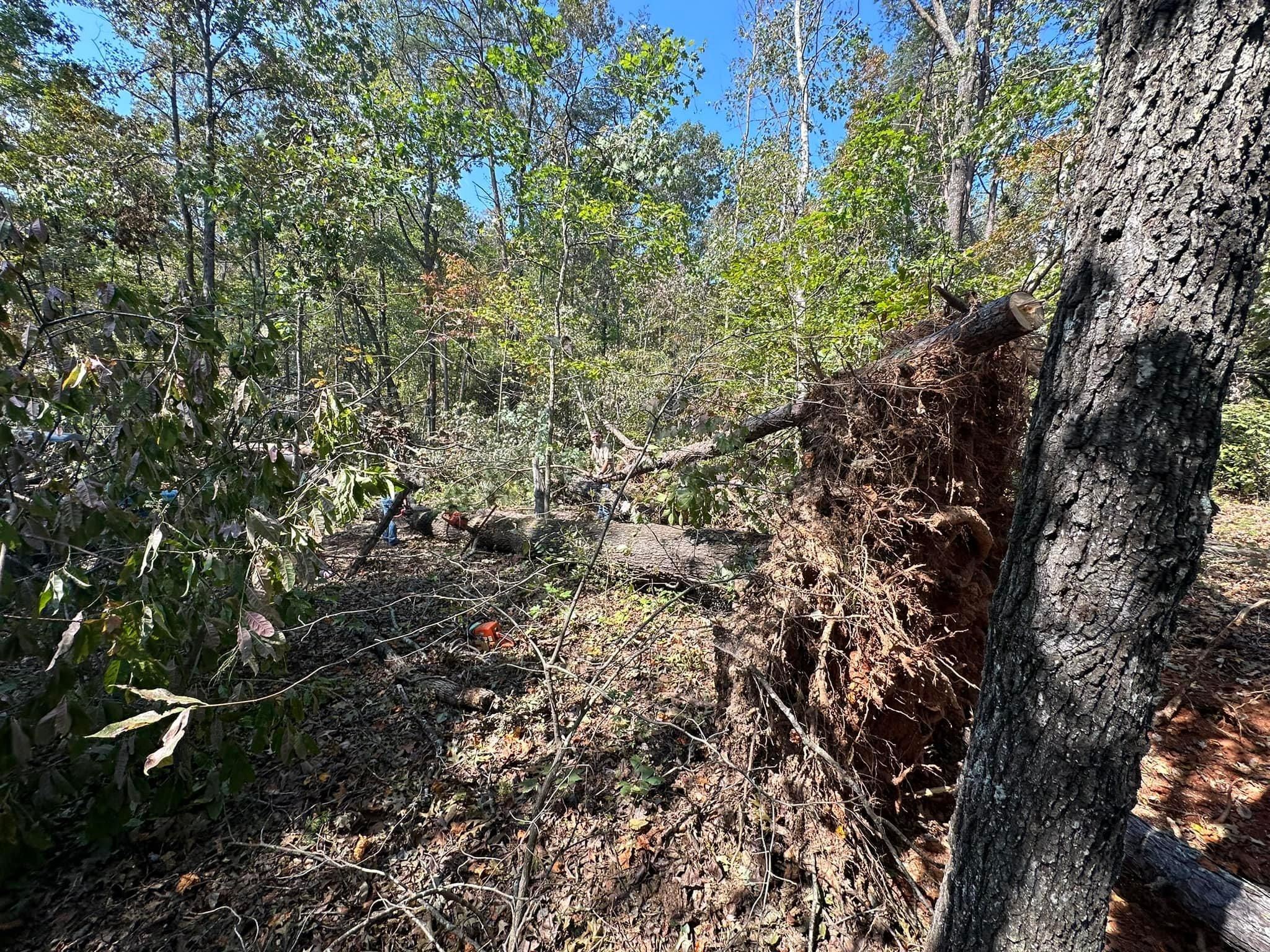 All Photos for The Flip Flop Roofer in Statesville, NC