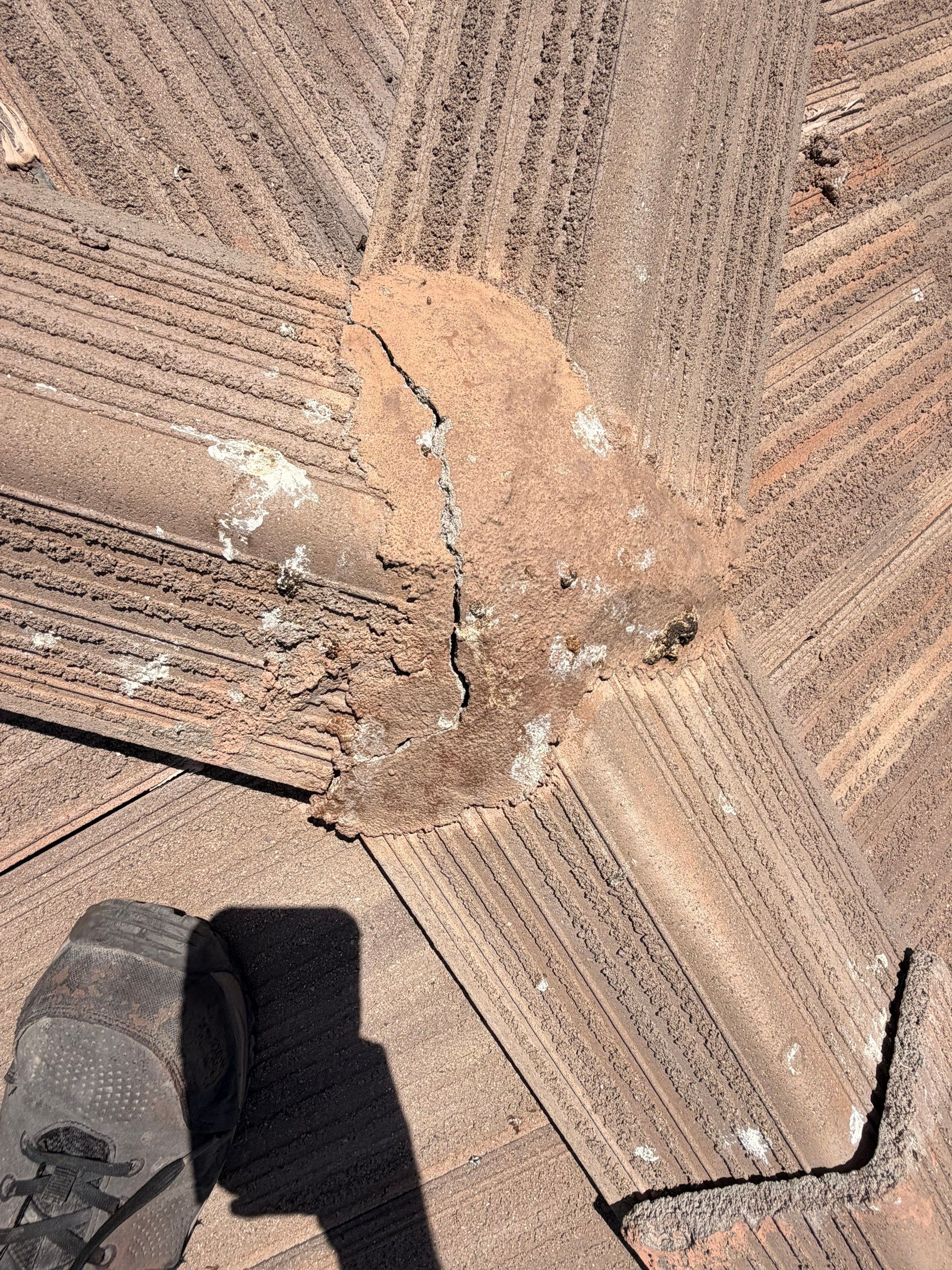  for Olson & Sons Contracting in Mesa, AZ