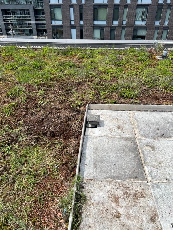  for Triumph Inc - Repair & Maintenance in Scarborough, ON