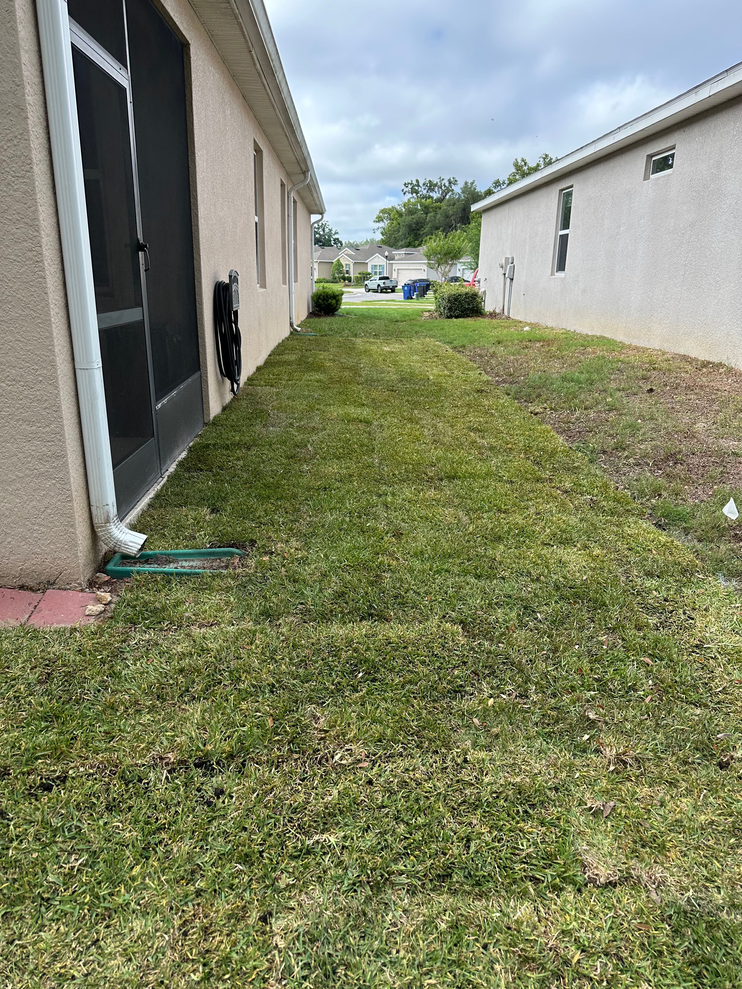  for Gulf Bay Sod in Clearwater, FL