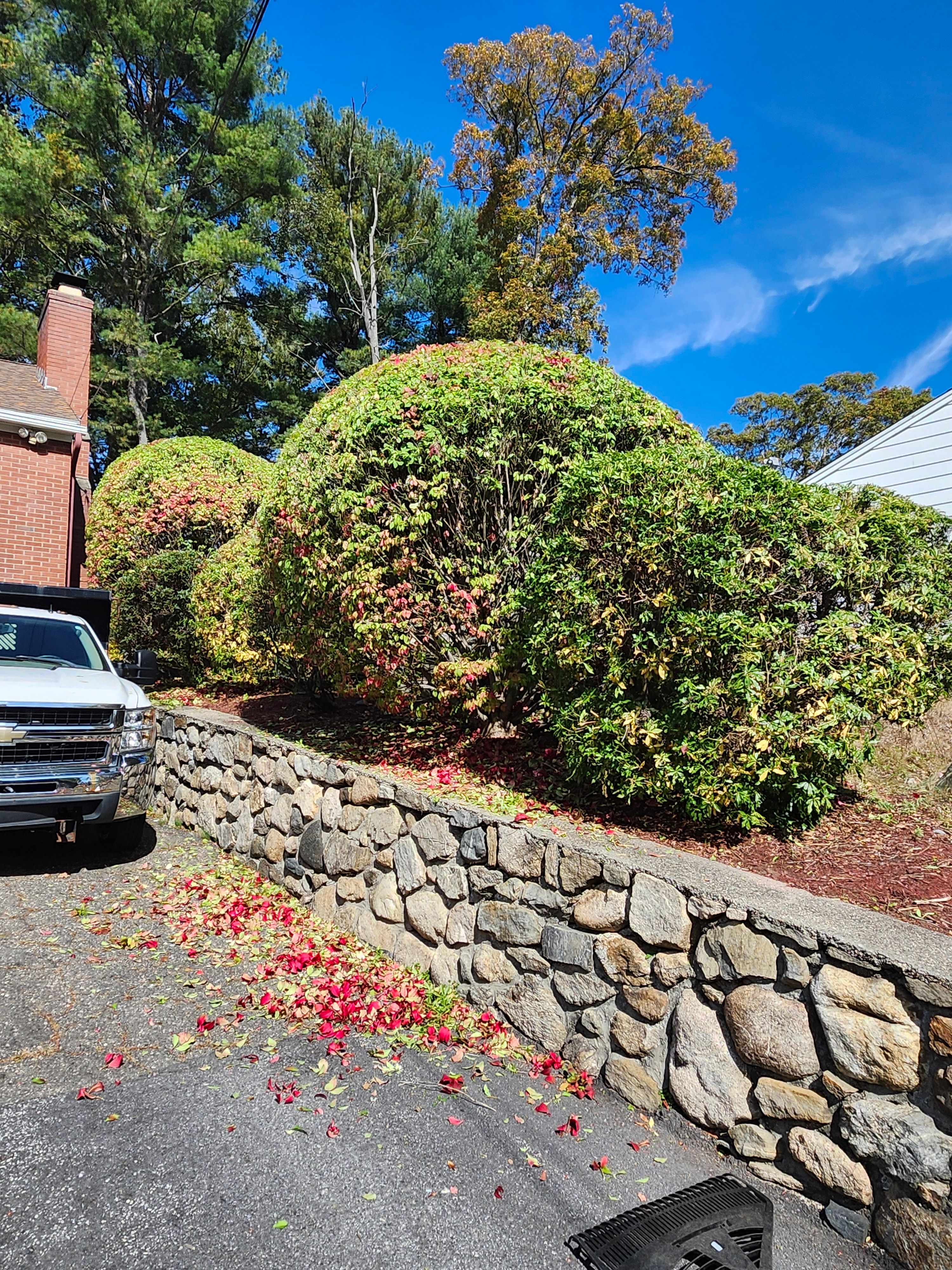  for Landscape Innovations LLC in Torrington, CT